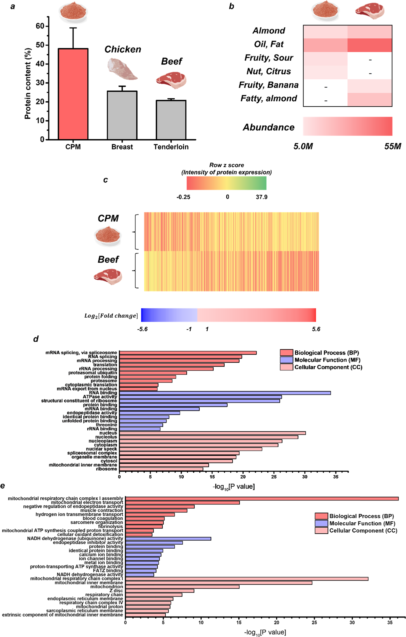 Fig. 2: Protein content, flavor, and protein expression of the CPM and beef tissue.