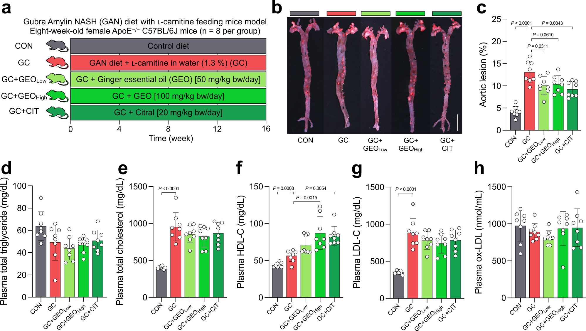Fig. 1: GEO and citral reduced aortic lesions and affected plasma lipid biomarkers in the GC-induced atherosclerosis female ApoE−/− mice (n = 8 per group).