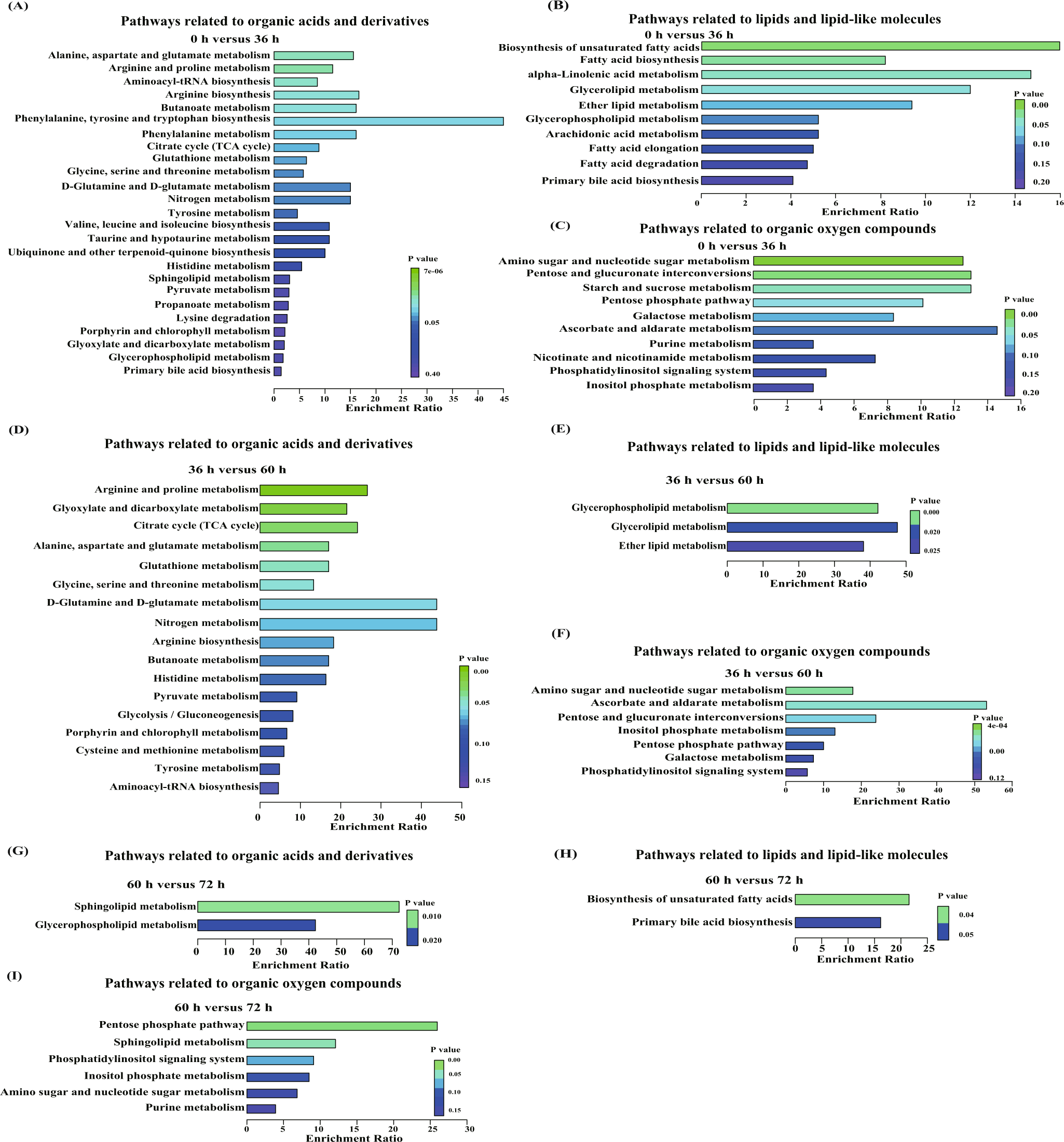 Fig. 5: Enrichment analysis of differential metabolic pathways identified between different fermentation time points.