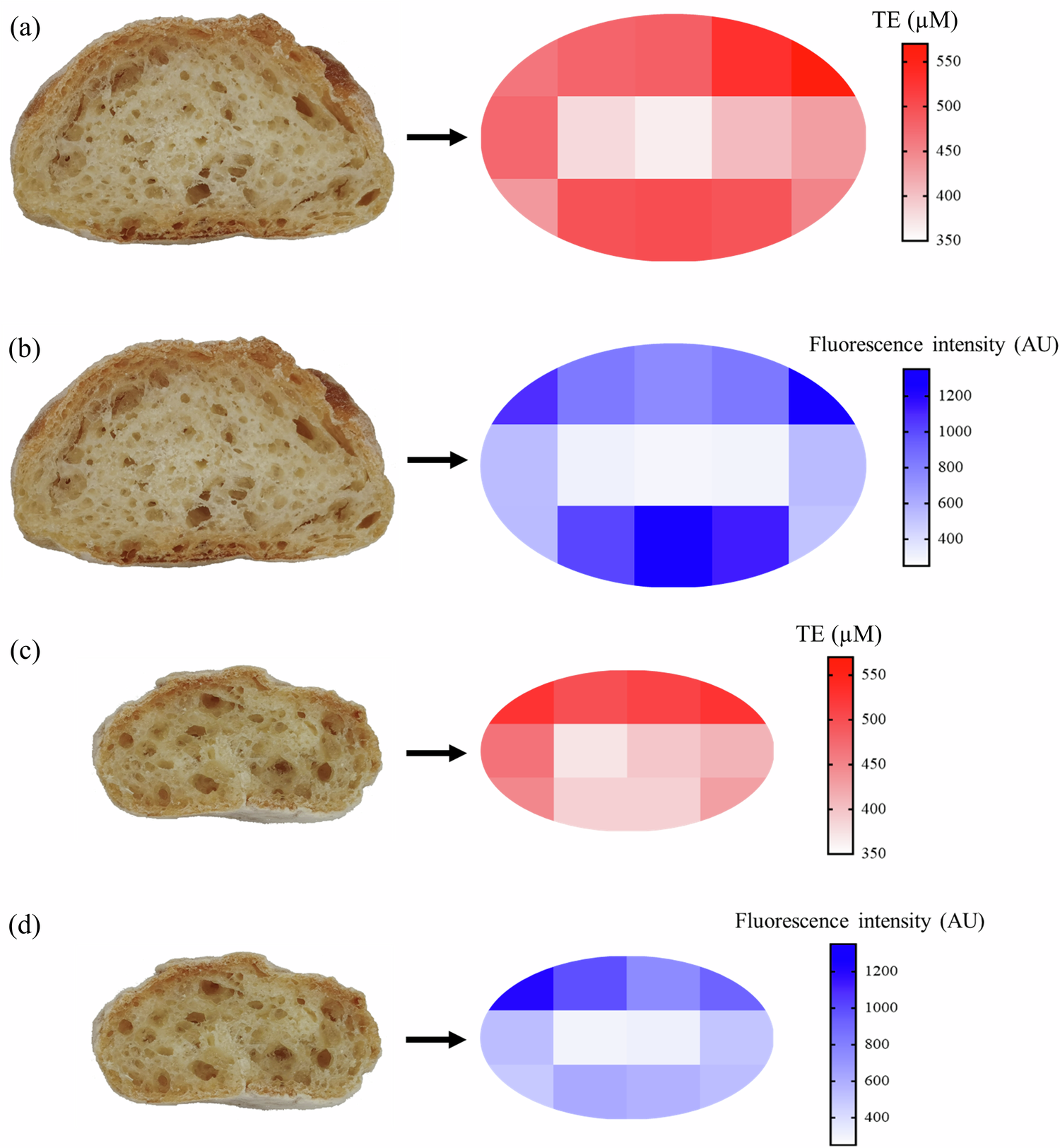 Fig. 3: Antioxidant capacity and fluorescent AGEs heat map of the cross-section of baguette.
