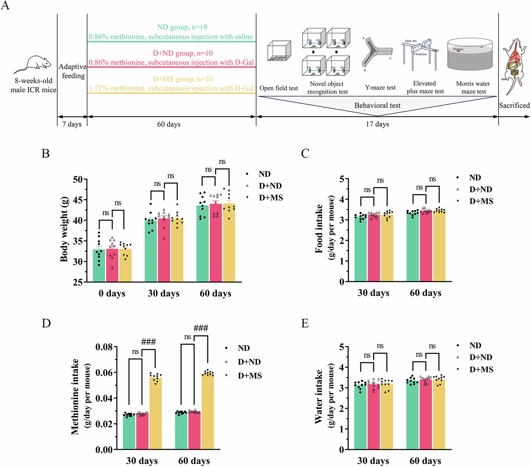 Dietary methionine supplementation improves cognitive dysfunction associated with transsulfuration pathway upregulation in subacute aging mice Dietary methionine supplementation improves cognitive dysfunction associated with transsulfuration pathway upregulation in subacute aging mice