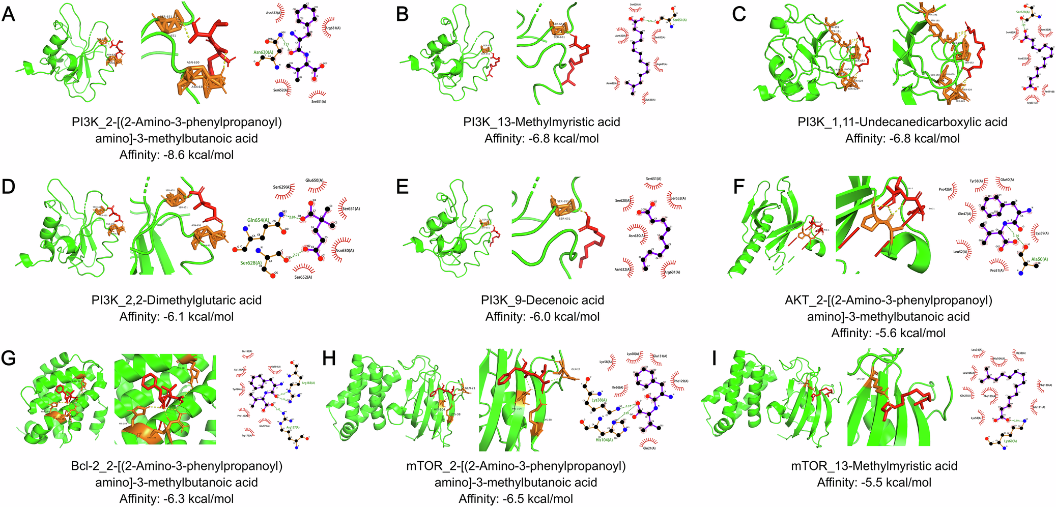 Fig. 6: Molecular docking of the five highest-scoring compounds to the goitre-related protein targets.