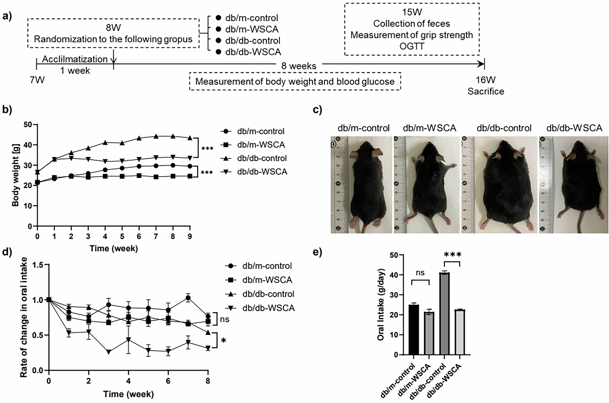 Fig. 1: Study design and changes in body weight and dietary intake.