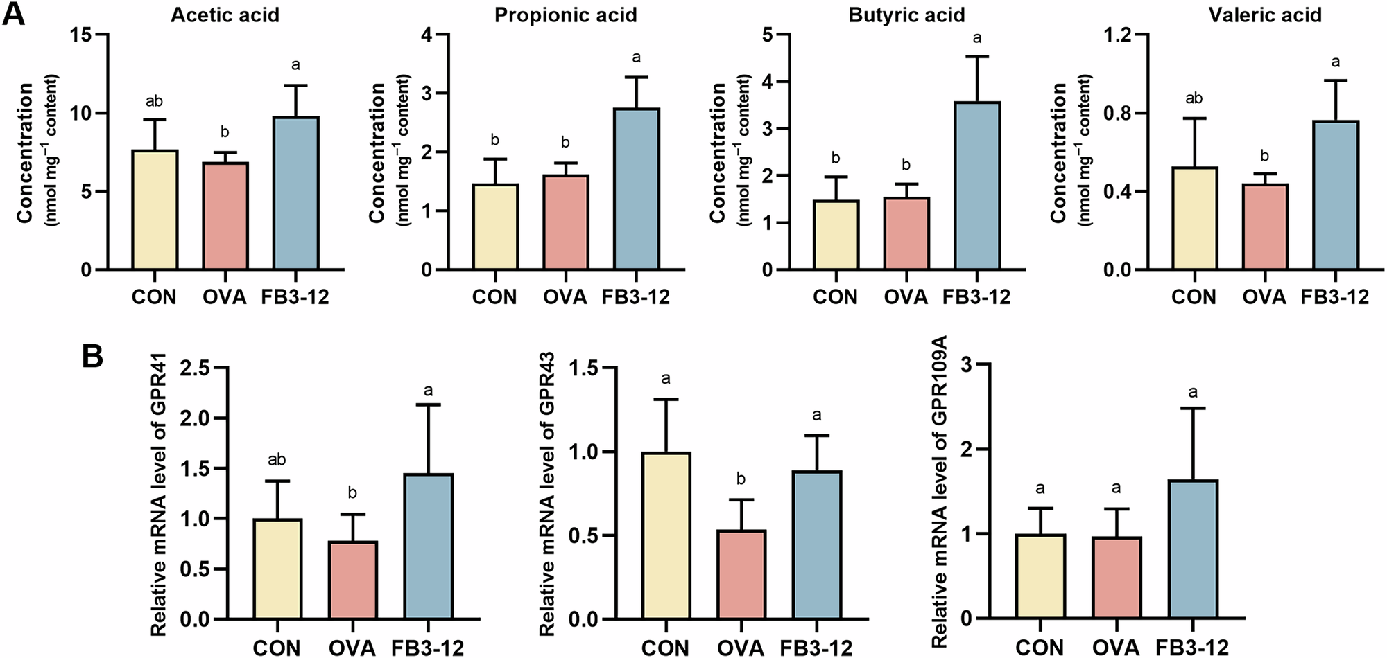 Fig. 5: Effect of FB3-12 on microbial short-chain fatty acid (SCFA) metabolism in allergic mice.