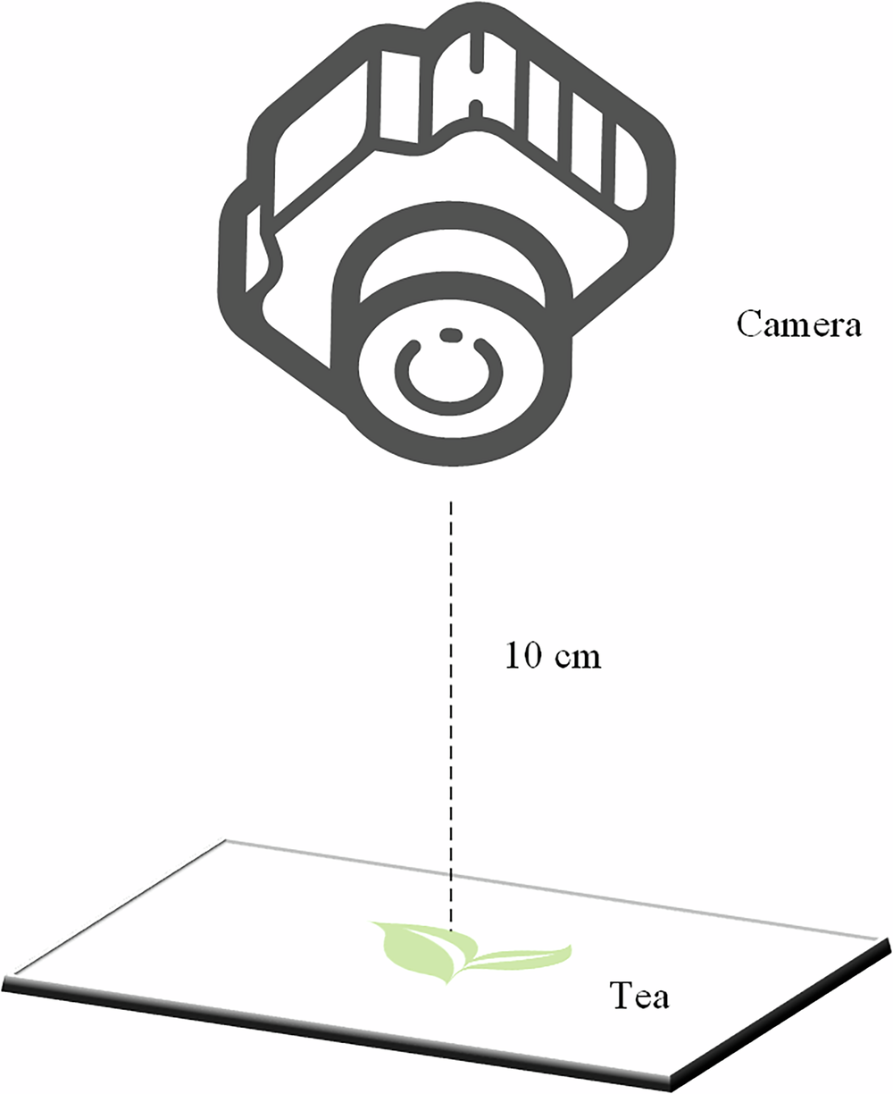 Fig. 4: Schematic diagram of the RGB image acquisition setup.