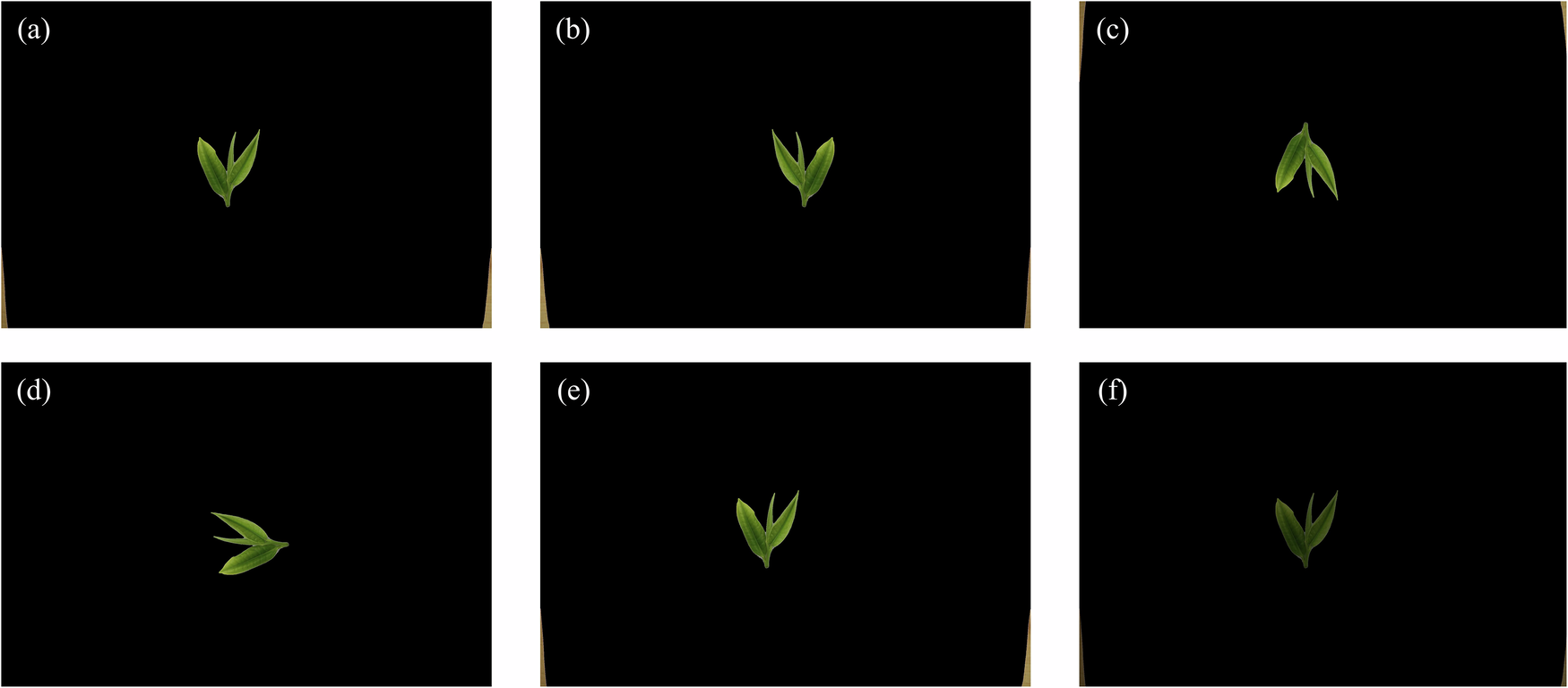 Fig. 6: Illustration of data augmentation techniques applied to the training dataset.