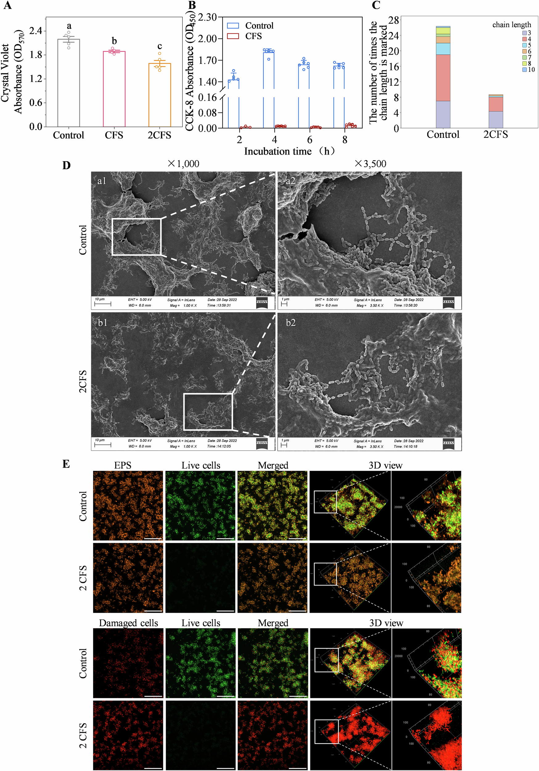 Fig. 2: Effects of CFS on biofilms.