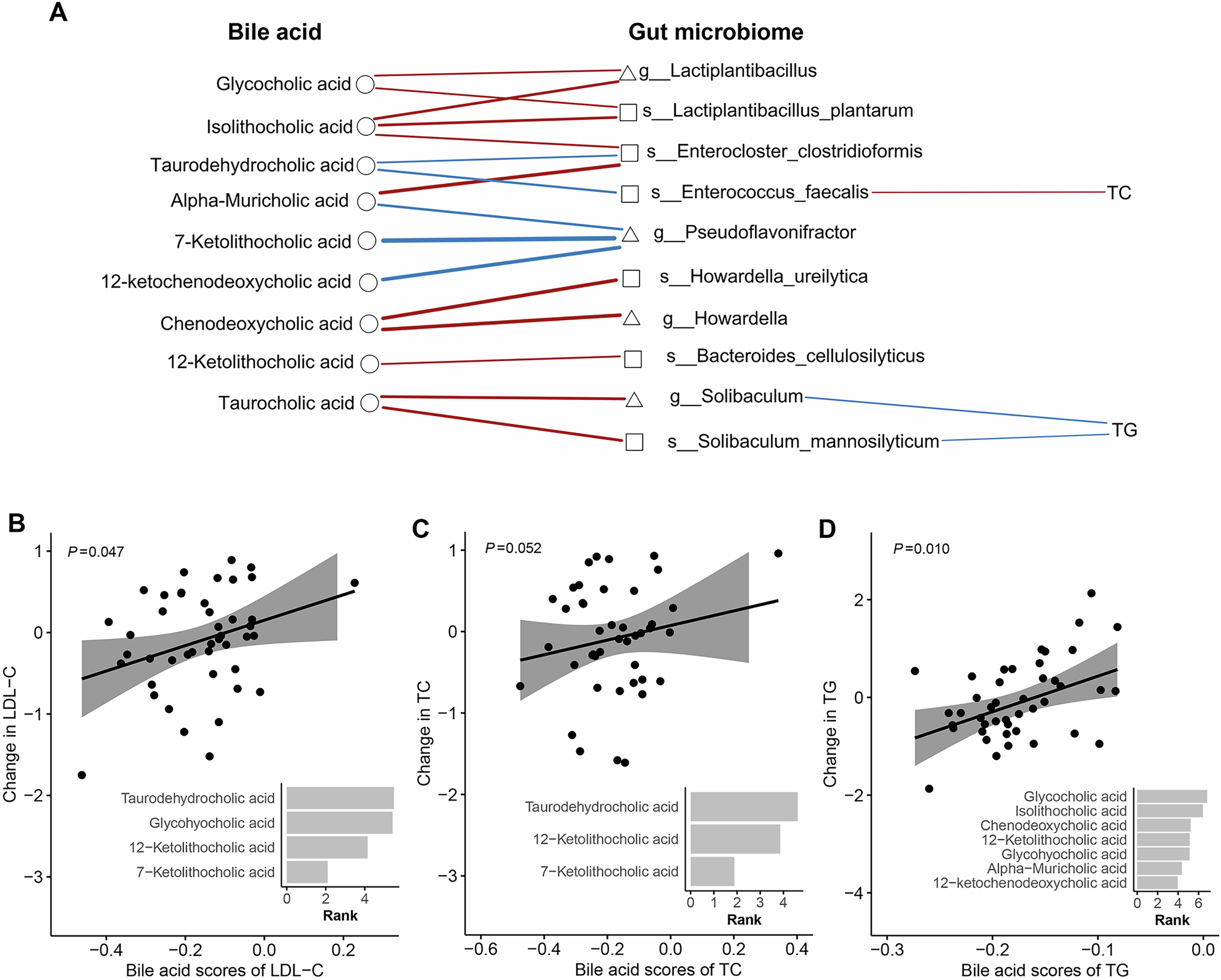 Fig. 2: Correlations among bile acids, gut microbiota, and blood lipid profiles in the LP group.