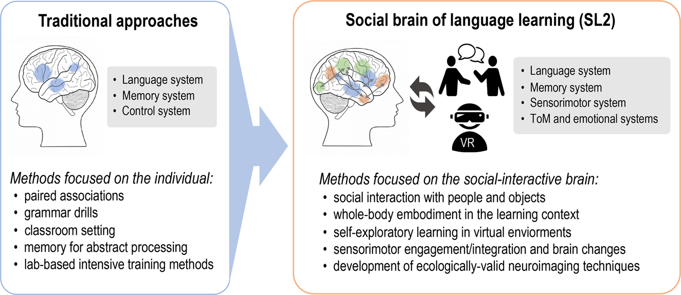 Bilingual benefits: Learning a second language boosts brain health - Study  Finds