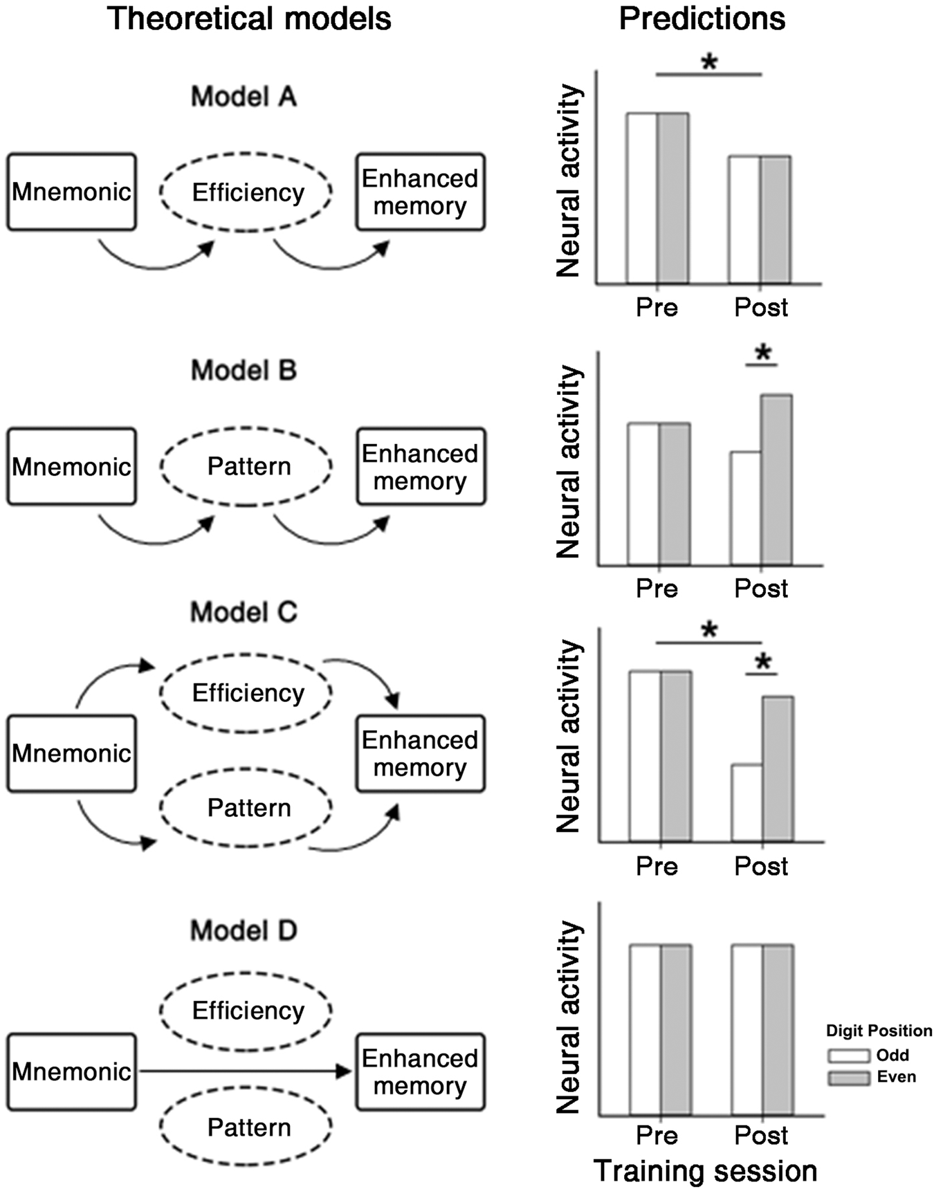 Mnemonic-trained brain tuning to a regular odd-even pattern subserves digit memory in children npj Science of Learning image