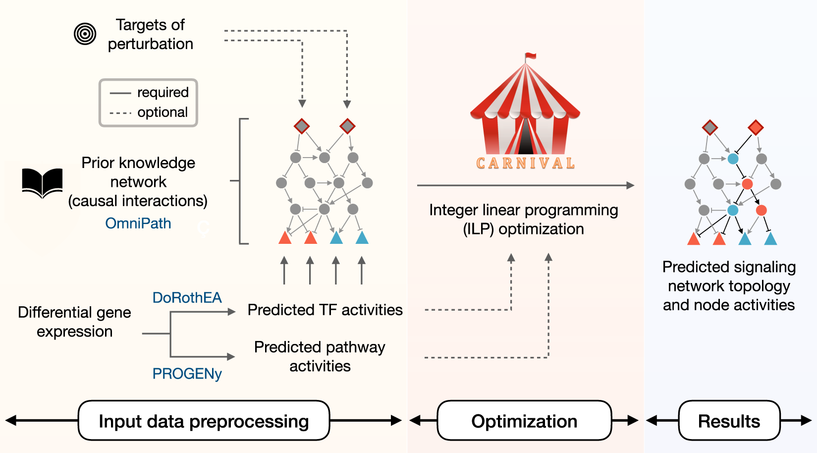 Fig. 1: CARNIVAL pipeline.