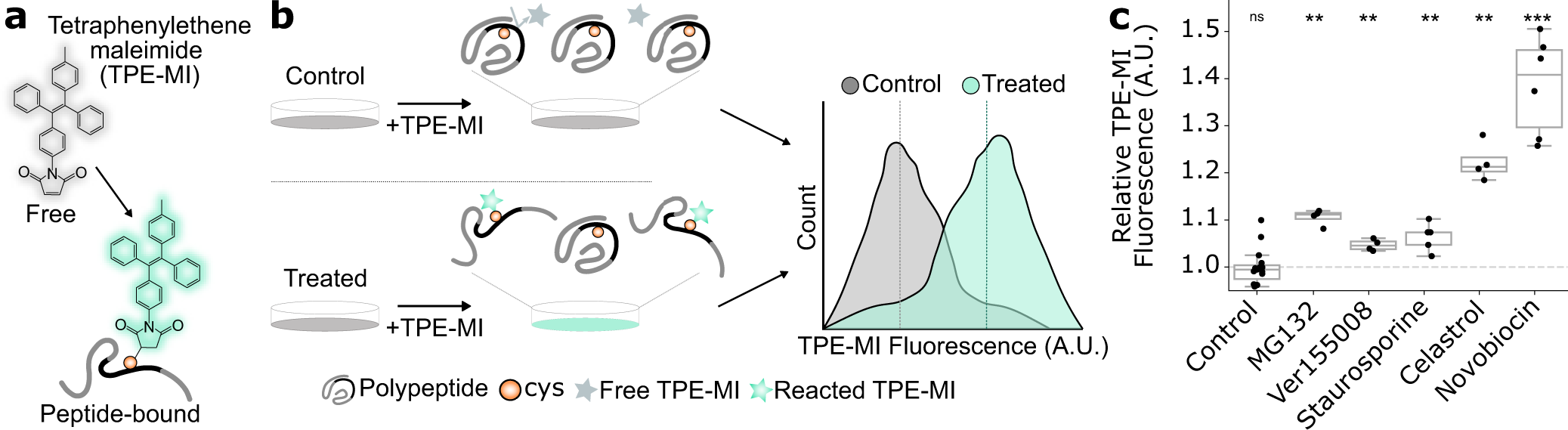 Sleep deprivation and pearl powder: Proteomics reveals brain pathway  alterations - 2020 - Wiley Analytical Science