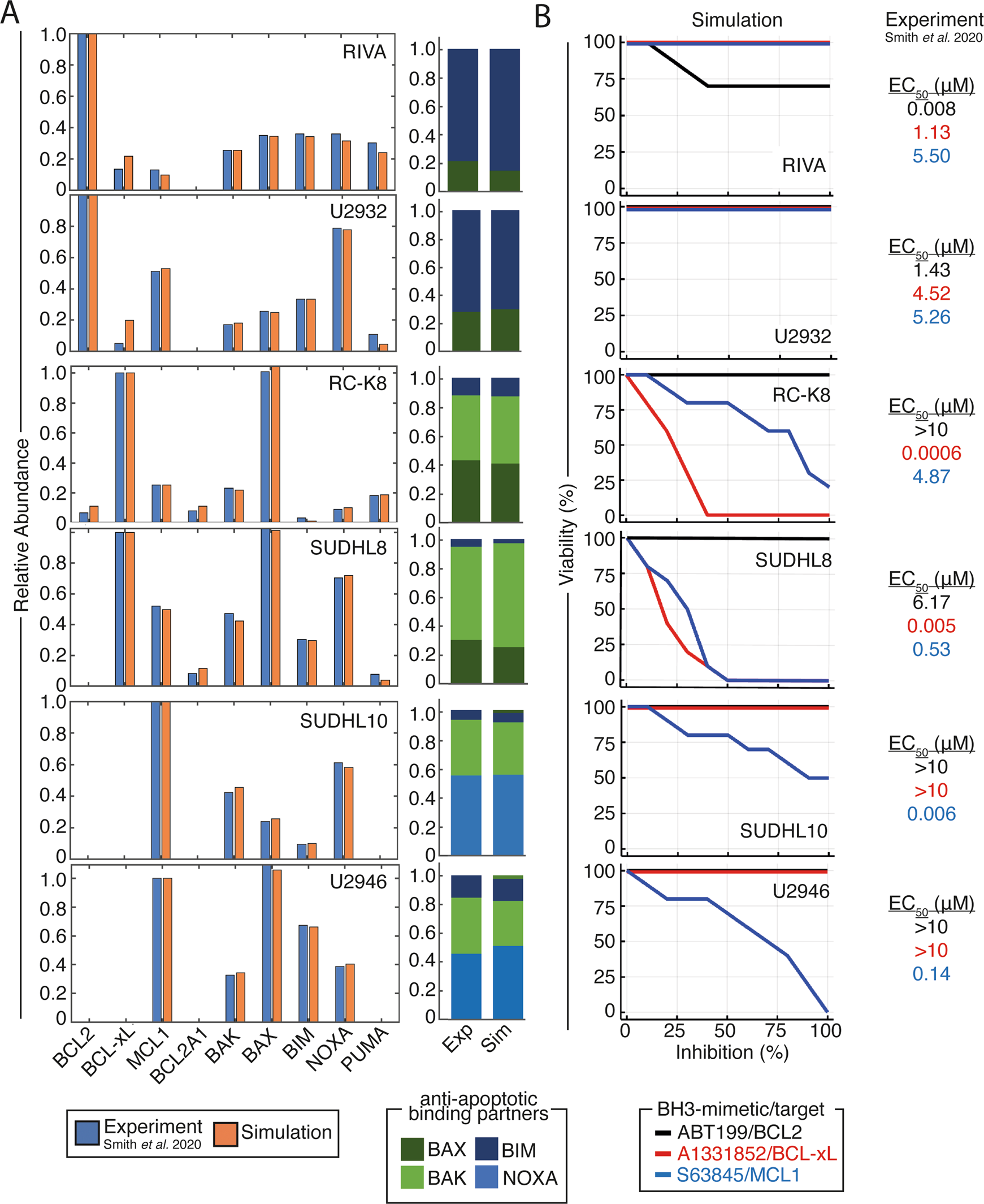 Fig. 3: Cell line-specific computational models recapitulate experimentally measured protein expression and heterodimerisation profiles and enable accurate prediction of the optimal BH3-mimetic for each cell line.
