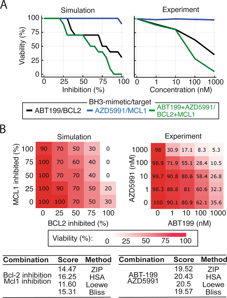 Fig. 4: Synergistic interactions between BH3-mimetics can be computationally identified and then experimentally validated.