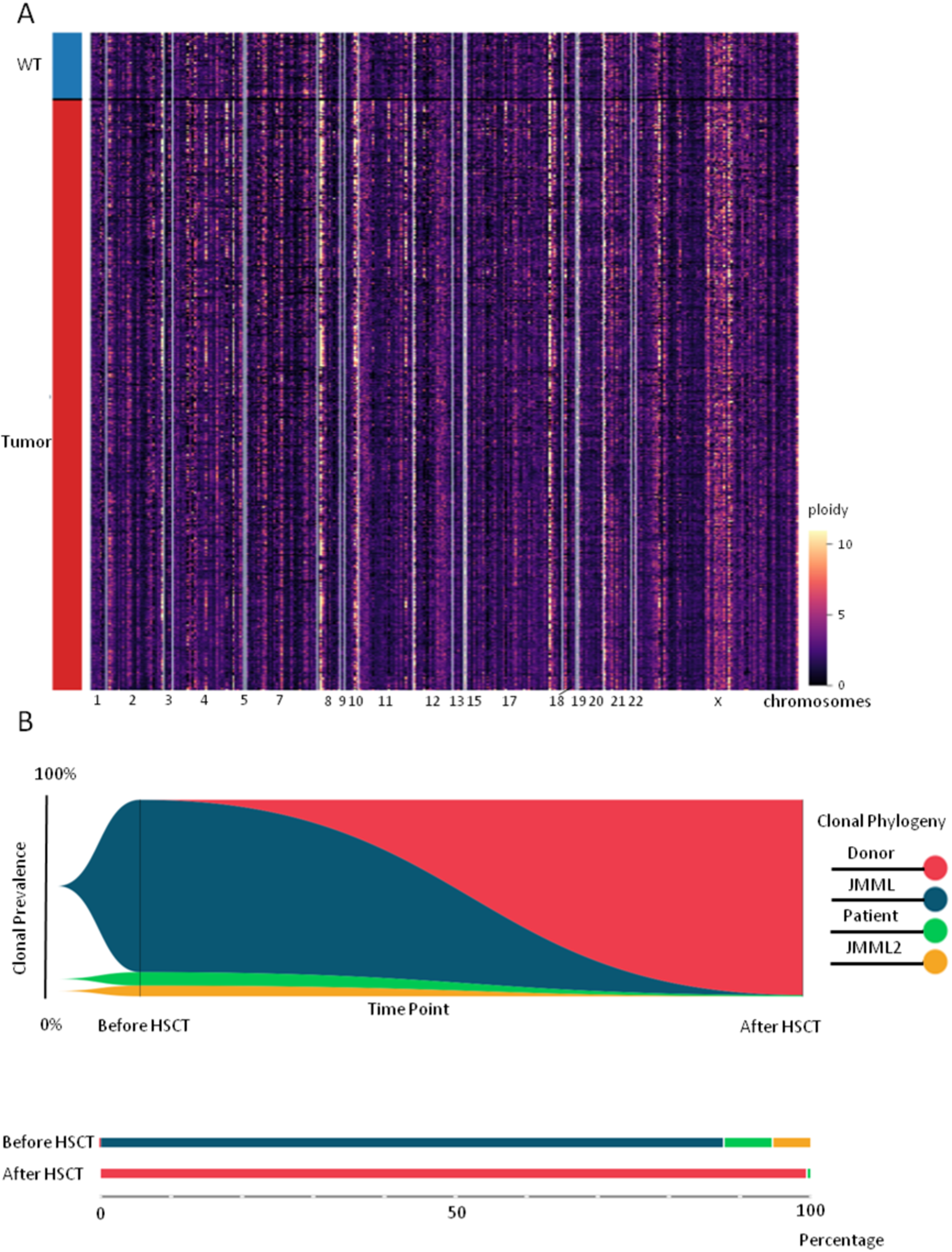 Fig. 3: Clonal analysis in patient 2.
