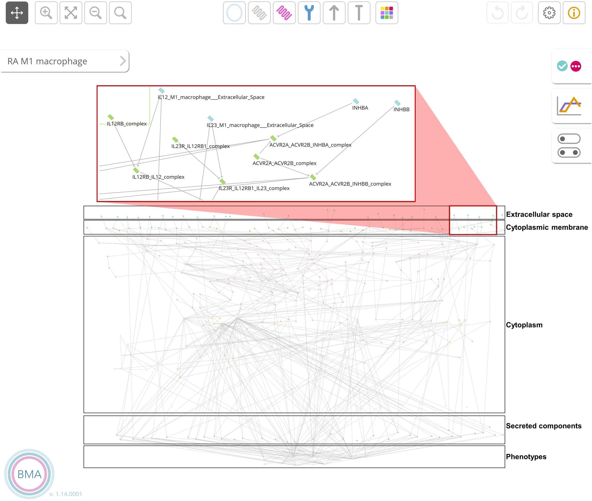Fig. 1: The RA M1 macrophage model in the BMA graphical interface.