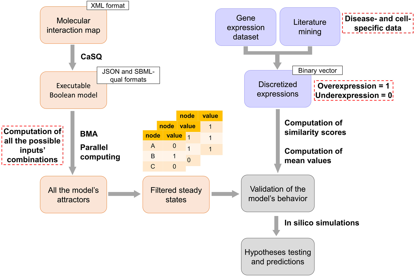 Fig. 5: Schematic representation of the workflow we developed to generate and analyse large-scale Boolean models.