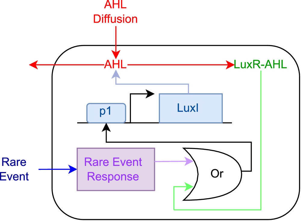 Fig. 3: Genetic circuit implementation of the Allee-based algorithm.