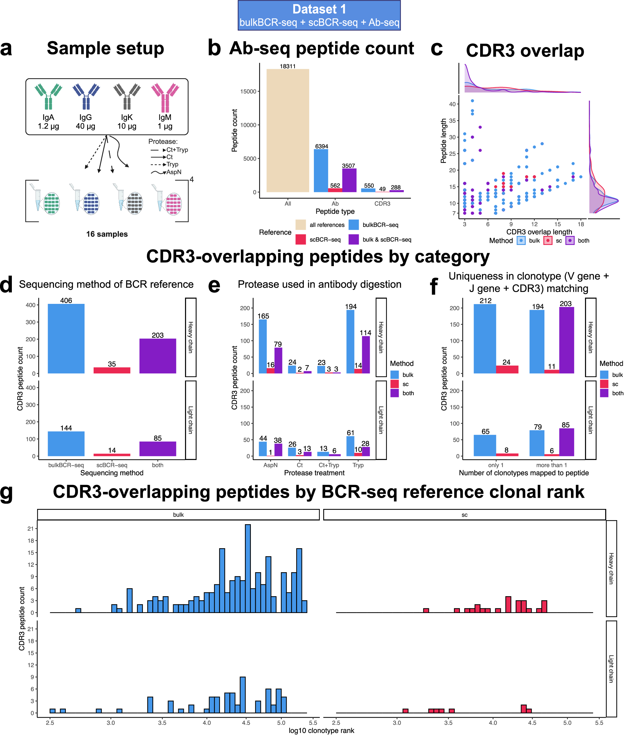 Fig. 5: Only a small proportion of Ab-seq peptides overlap with the CDR3 region, and most BCR reference matches were from less expanded clonotypes in BCR-seq.