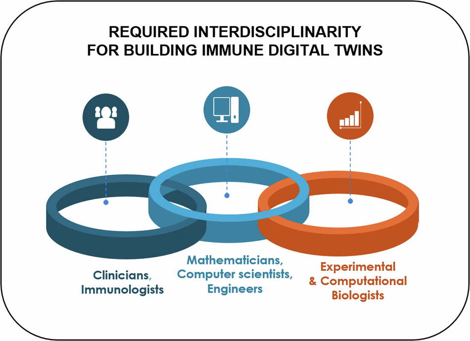 Fig. 1: Interdisciplinarity as a key factor in Building Immune Digital Twins.