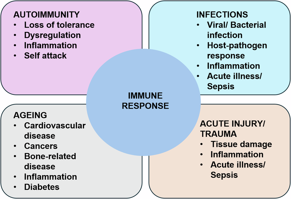 Fig. 4: Human immune response in various pathologies.