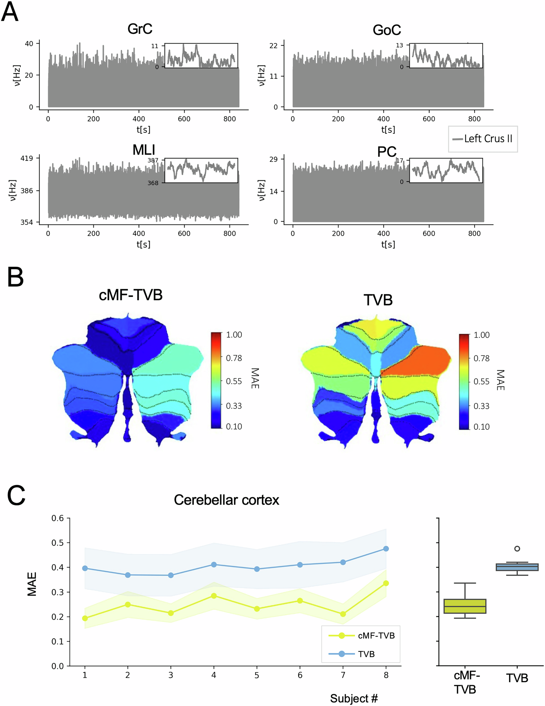 Fig. 5: cMF-TVB simulation of the cerebellar cortex activity.