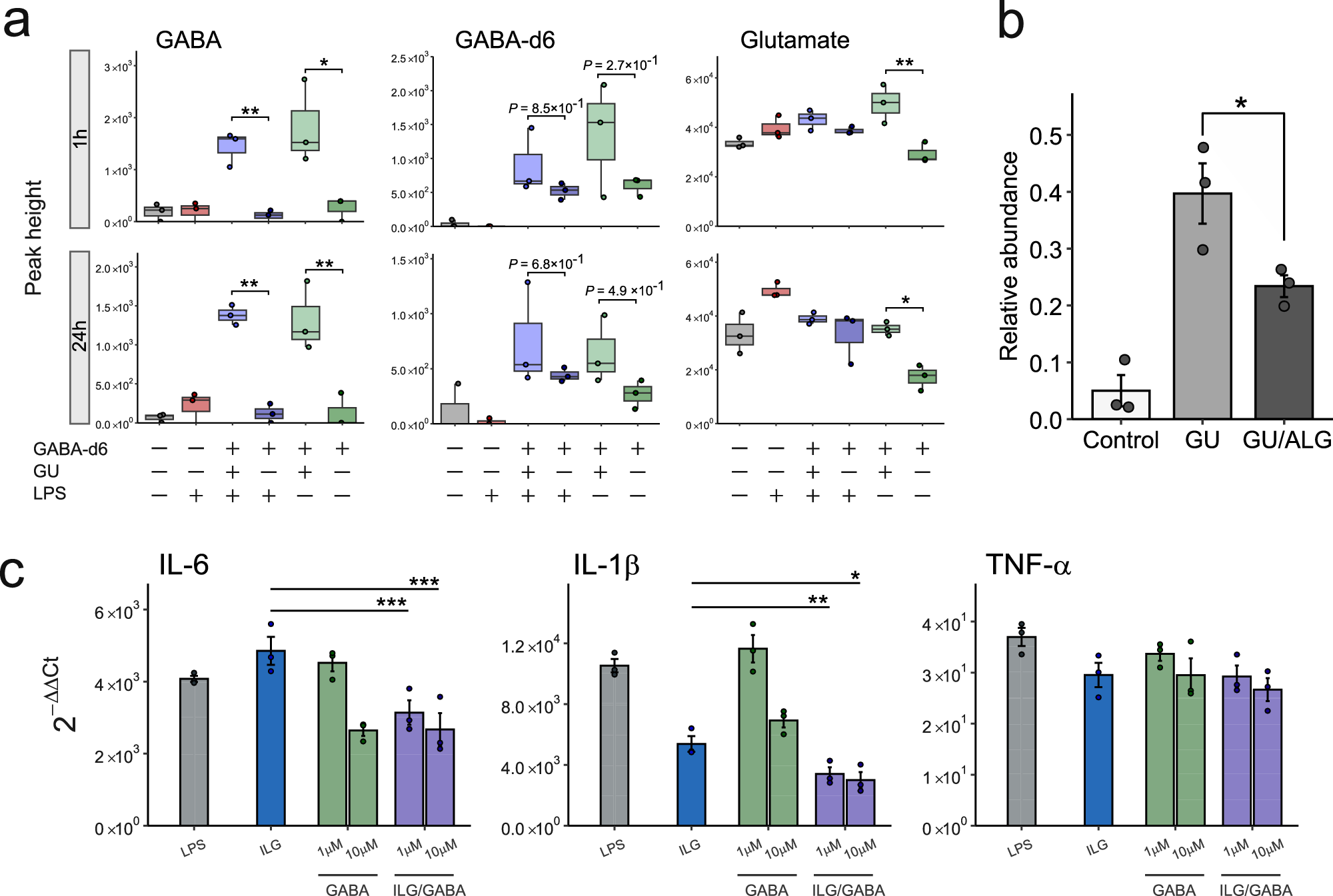 Fig. 6: Investigating GABA production mechanism and biological importance in anti-inflammatory effect.