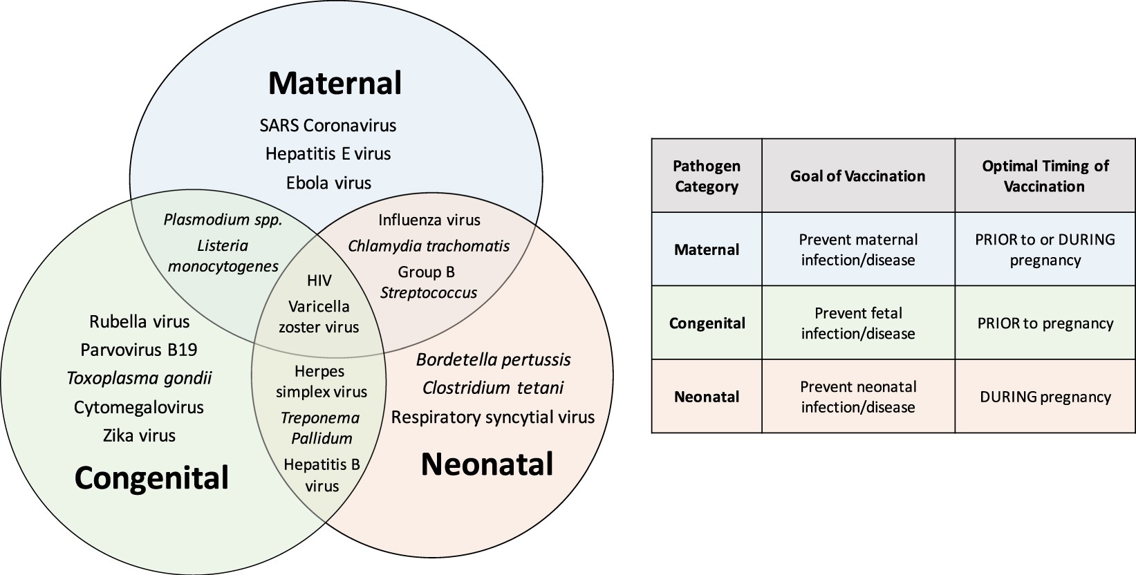 Pregnancy And Infection Using Disease Pathogenesis To Inform