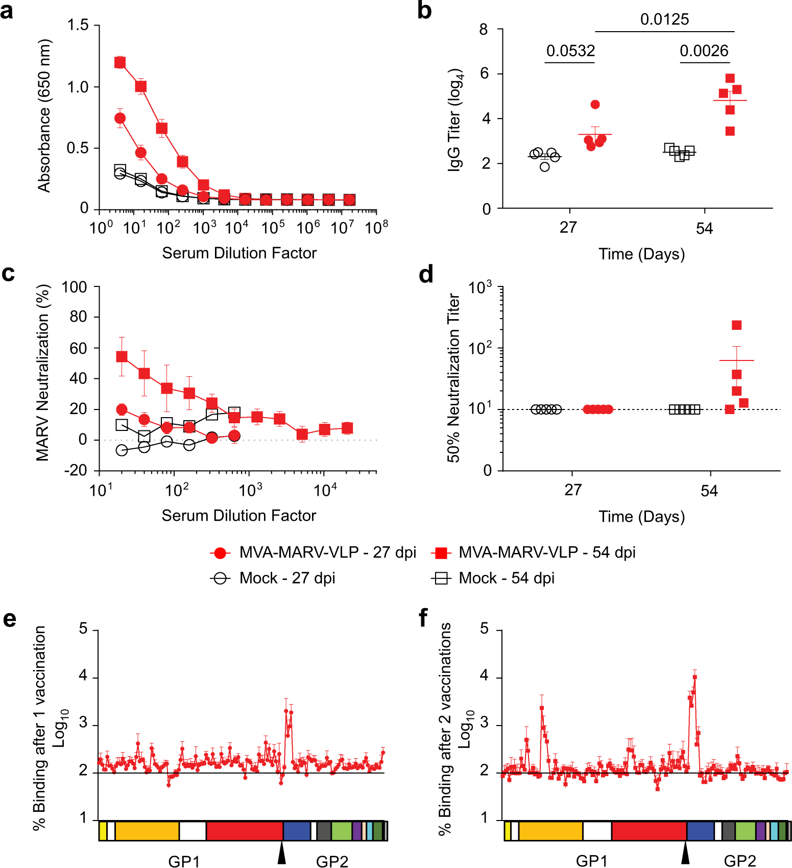 Fig. 2: MVA–MARV–VLP vaccine elicits binding and neutralizing antibodies.