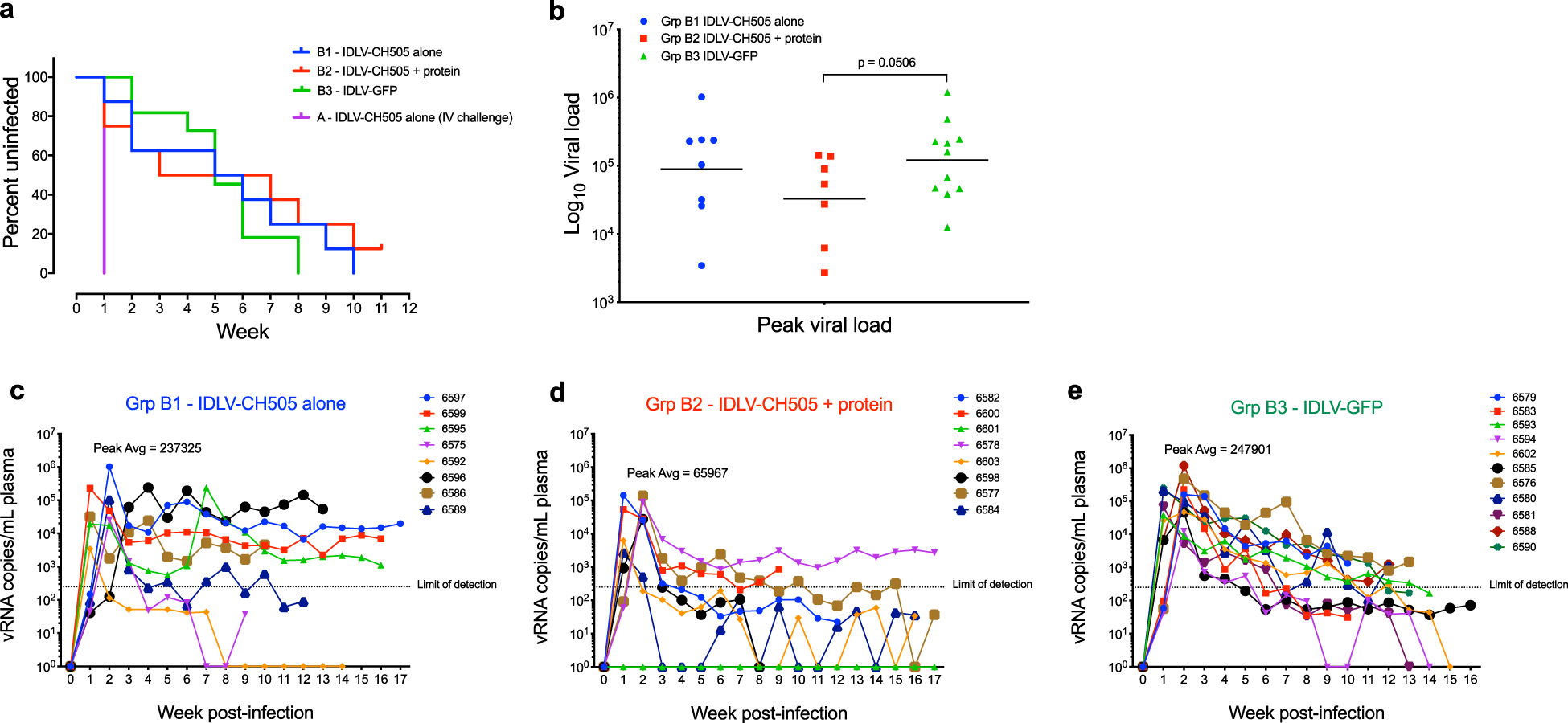 Fig. 5: SHIV challenge outcomes in IDLV-CH505 +/− protein vaccinated animals.