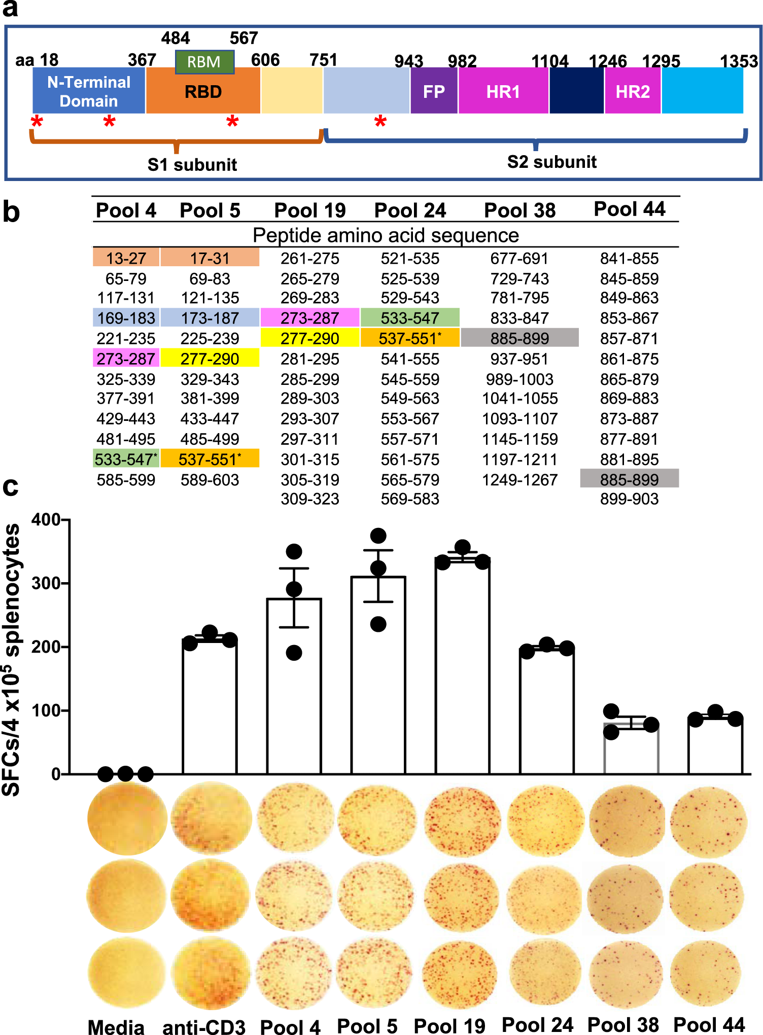 Fig. 6: Epitope mapping data in the splenocytes of SpFN vaccinated mice at week 6 following prime-boost vaccination.