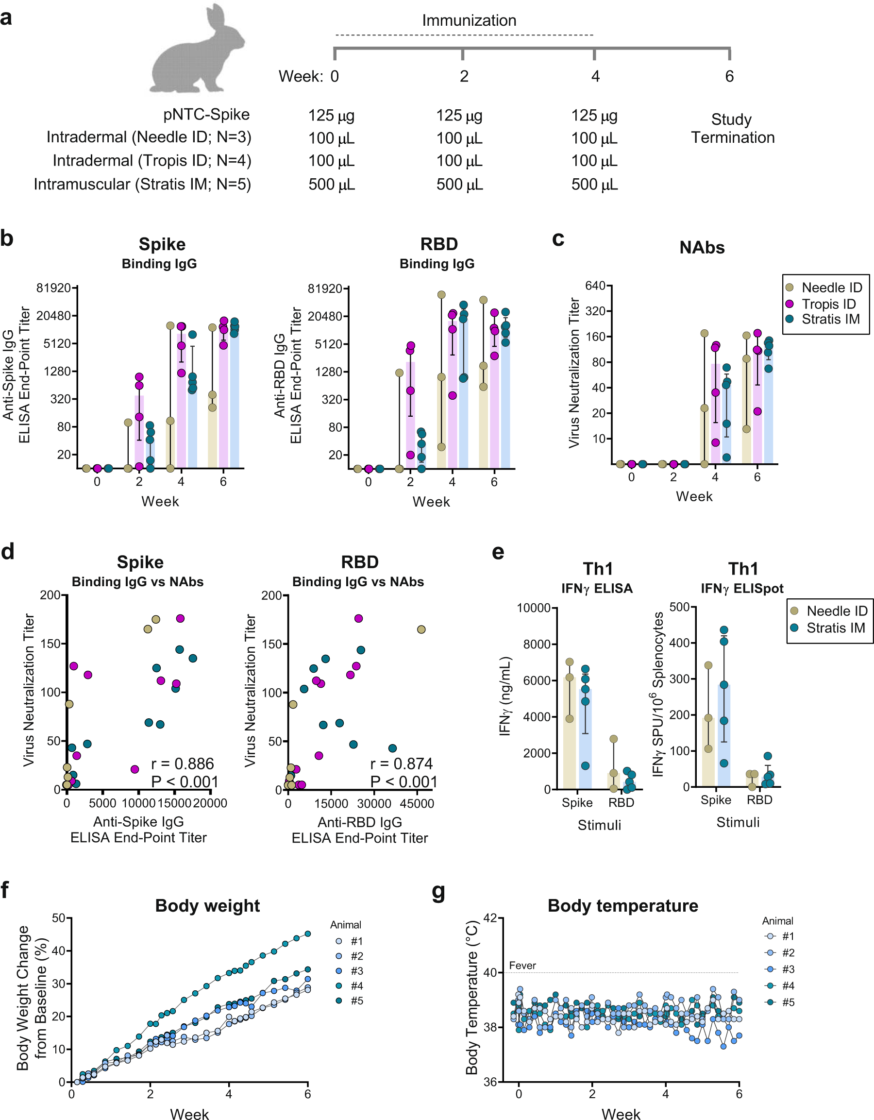 Fig. 3: Humoral and cellular immune responses to pNTC-spike vaccination in rabbits.