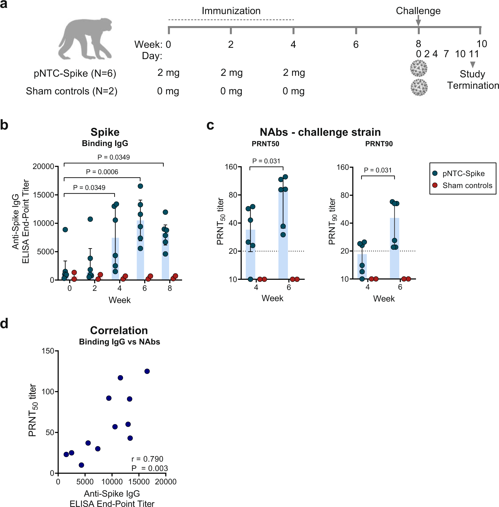 Fig. 4: Humoral immune responses to pNTC-Spike in nonhuman primates.