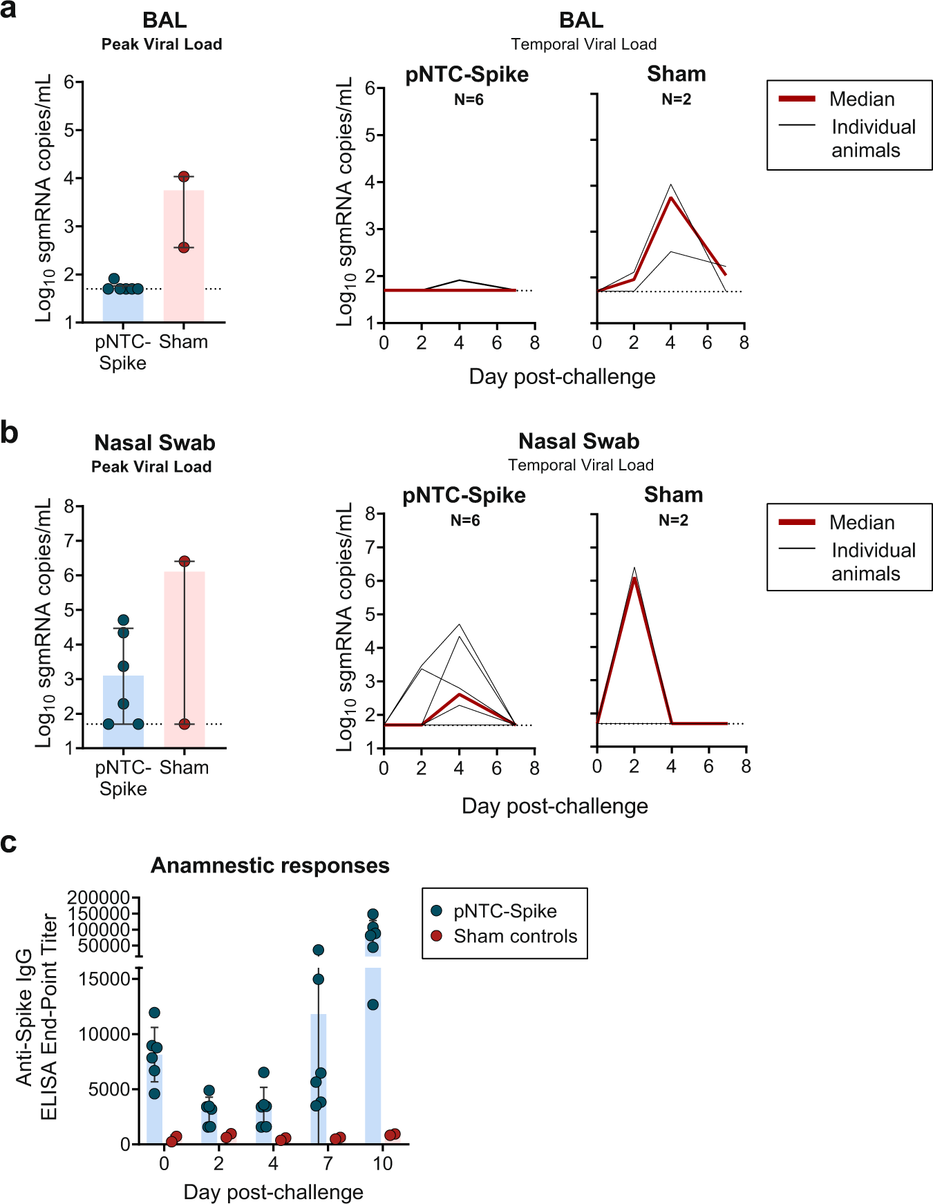 Fig. 5: Viral load and anamnestic responses in rhesus macaques following challenge with SARS-CoV-2 by the intranasal and intratracheal route.