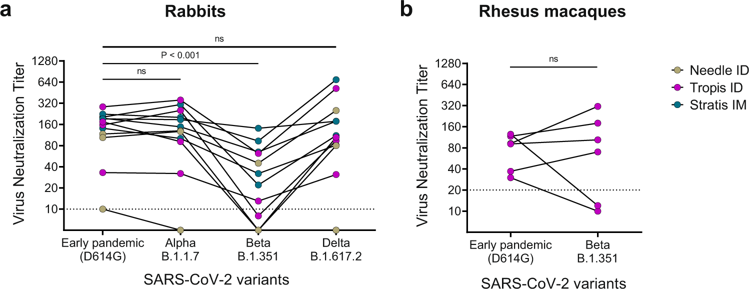 Fig. 6: SARS-CoV-2 variant cross-neutralizing antibody responses induced by the pNTC-Spike vaccine after three immunizations (week 6).