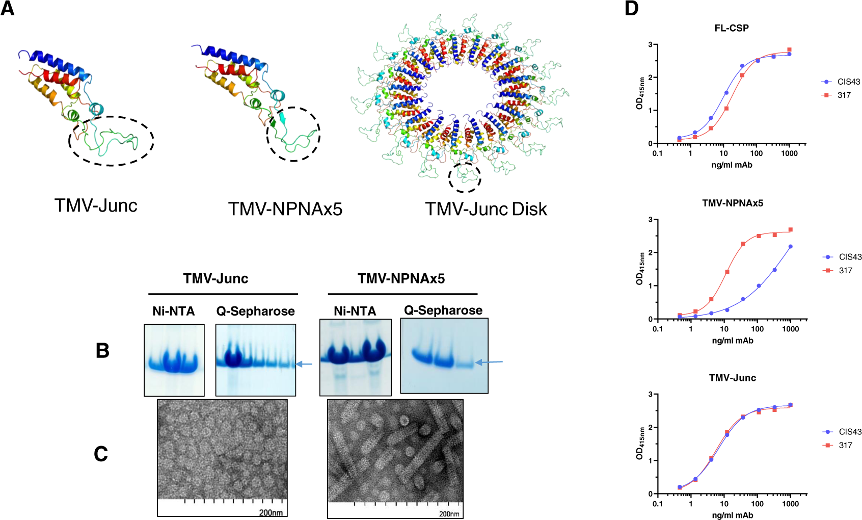 Restricted Valency Npna N Repeats And Junctional Epitope Based Circumsporozoite Protein Vaccines Against Plasmodium Falciparum Npj Vaccines Restricted Valency Npna N Repeats And Junctional Epitope Based Circumsporozoite Protein Vaccines Against Plasmodium Falciparum Npj Vaccines