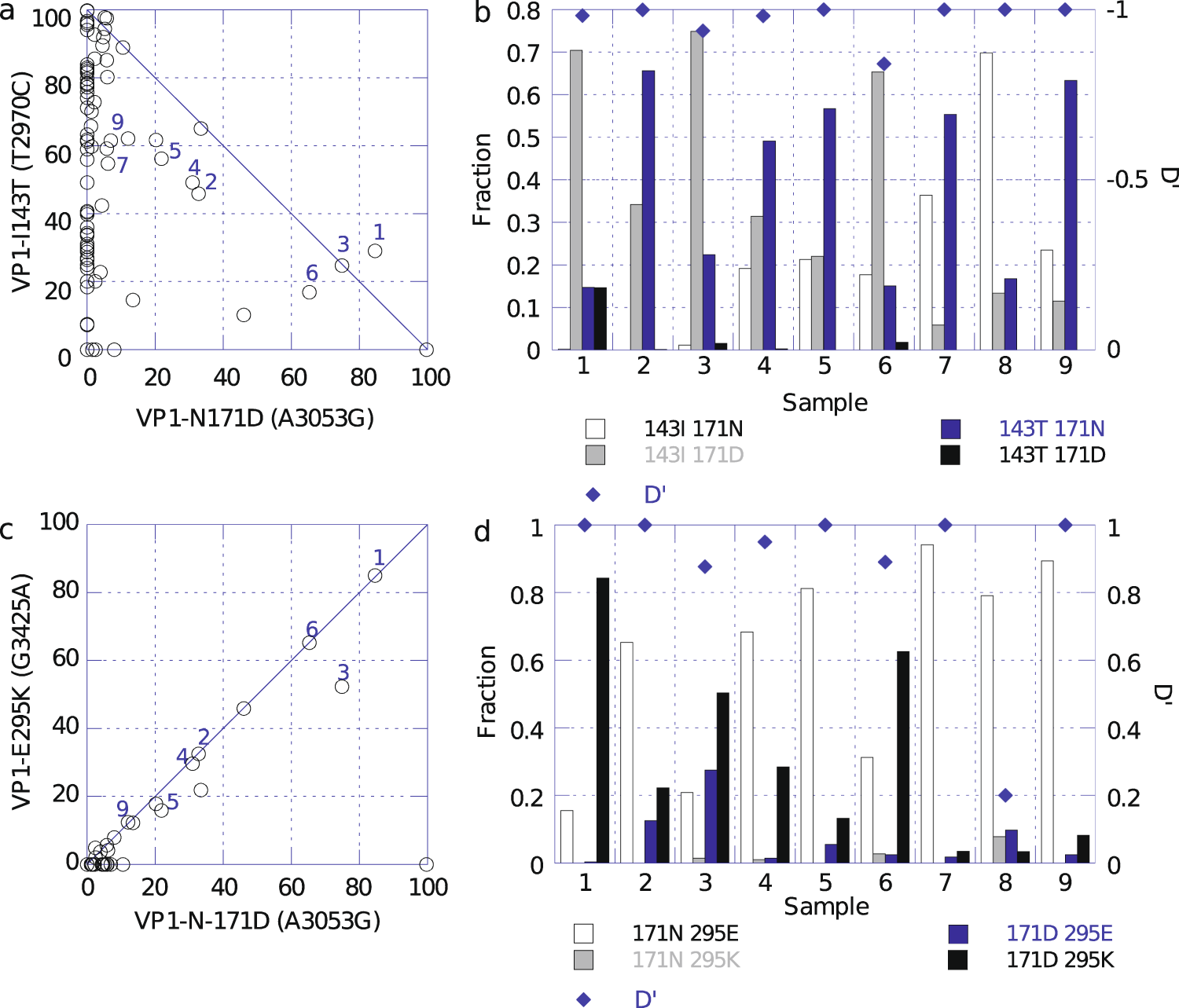 Fig. 4: Relationship between VP1-I143T, VP1-N171D and VP1-E295K in nOPV2-c1 shed virus samples.