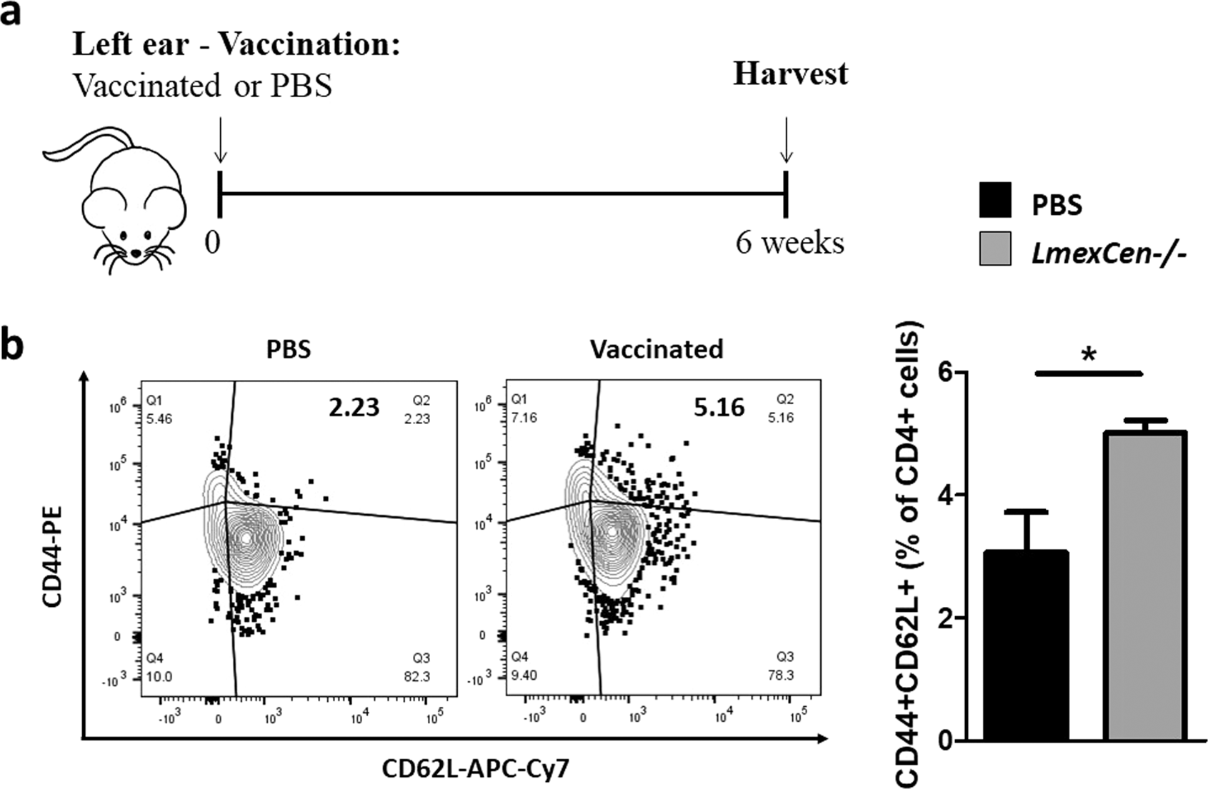 Fig. 5: LmexCen−/− immunization promotes generation of T central memory cells in BALB/c mice.