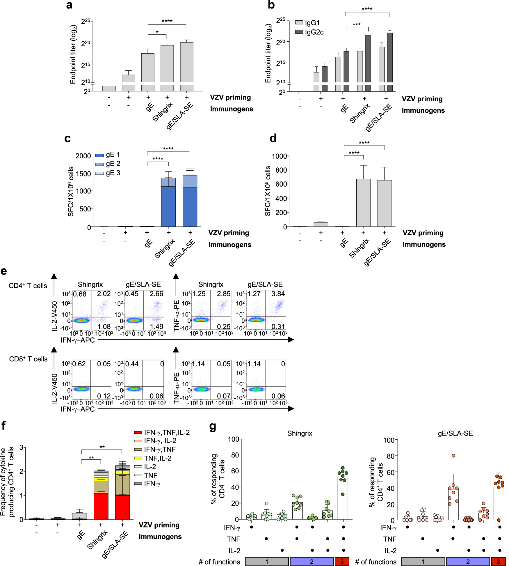 Fig. 2: Comparison of gE- or VZV-specific immune responses of gE/SLA-SE with Shingrix in young mice.