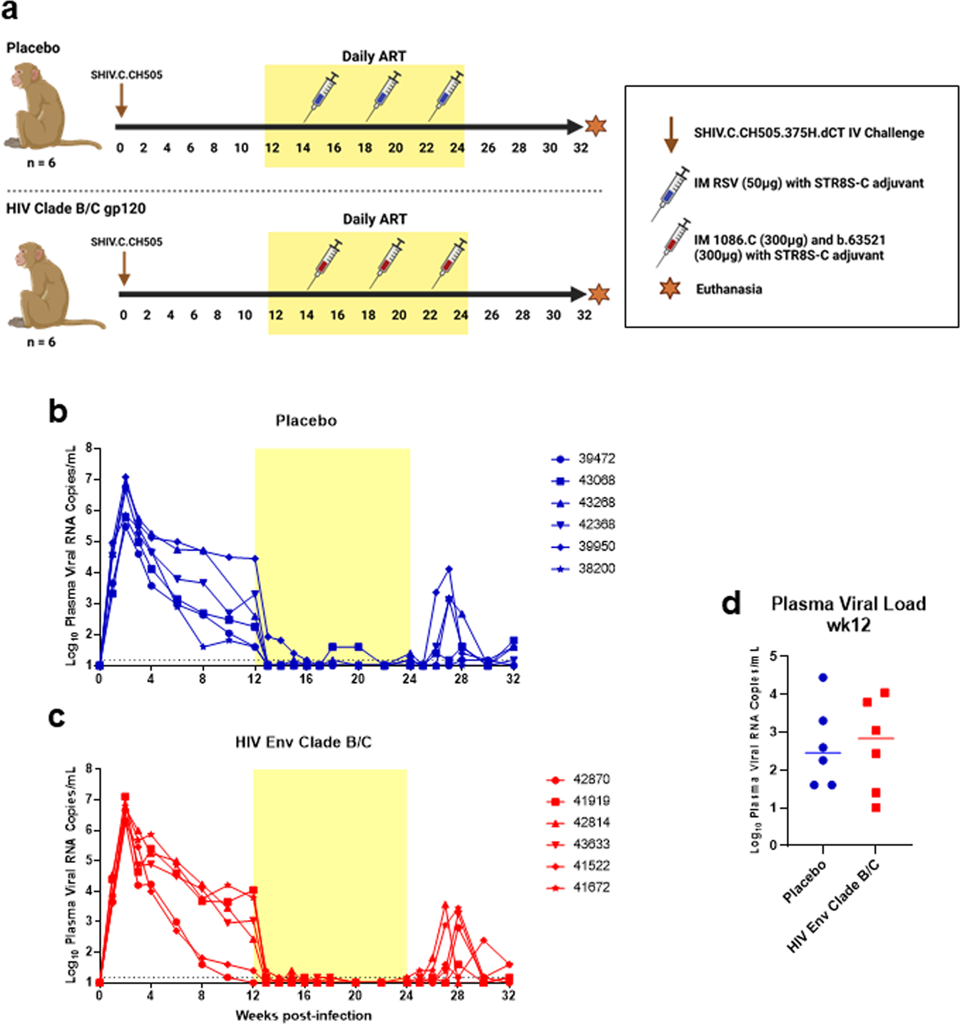 Fig. 1: Infection, treatment, and immunization schedule for study of vaccine-elicited responses in SHIV-infected, ART-treated female monkeys to reduce MTCT.