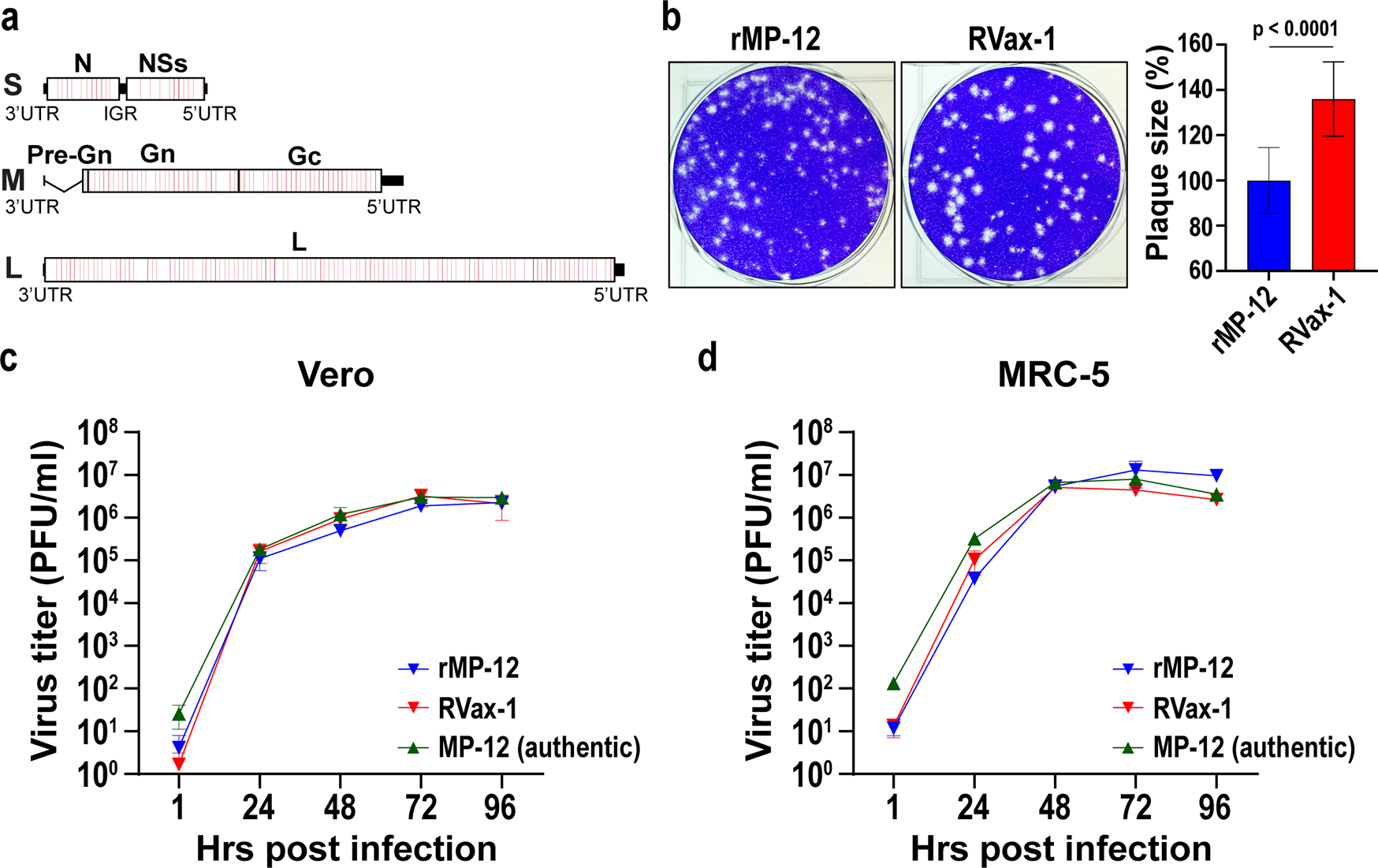 Huber Heights Animal Hospital, Veterinarian in Dayton, OH, image size:1748x1101