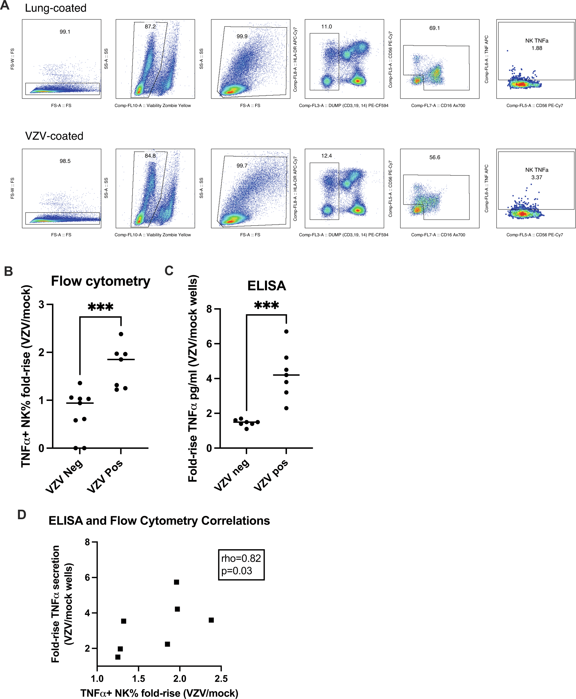 Development of antibody-dependent cellular cytotoxicity in response to  recombinant and live-attenuated herpes zoster vaccines | npj Vaccines