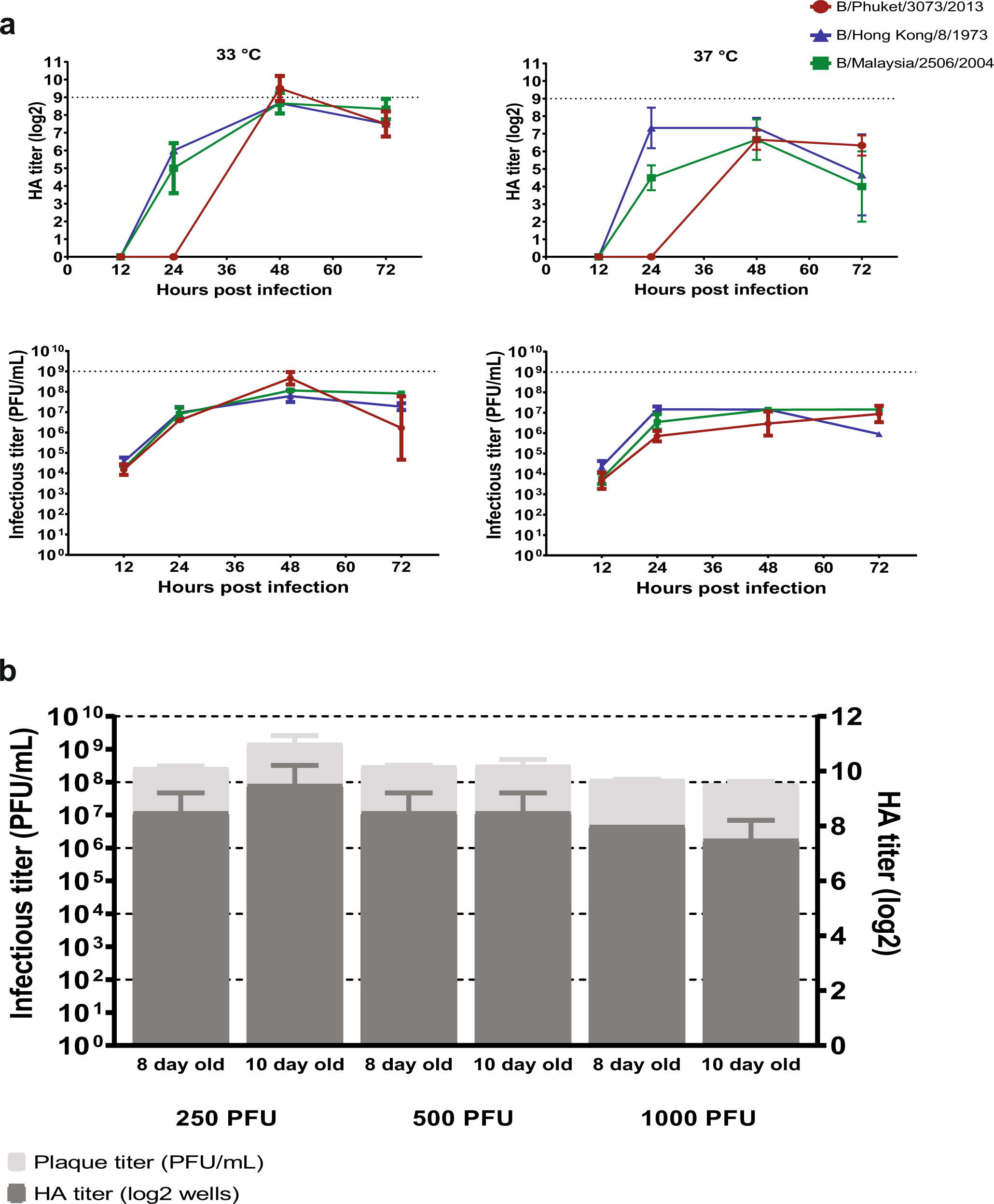 Generation of a high yield vaccine backbone for influenza B virus in  embryonated chicken eggs | npj Vaccines