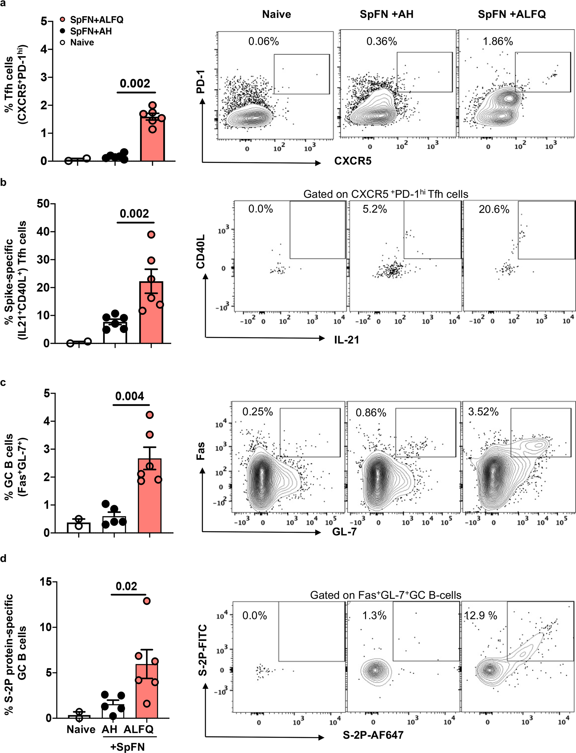 Fig. 2: SpFN + ALFQ induces robust spike-specific IL-21-secreting Tfh and S-2P-protein-specific germinal center (GC) B cells in the spleen at day 7.