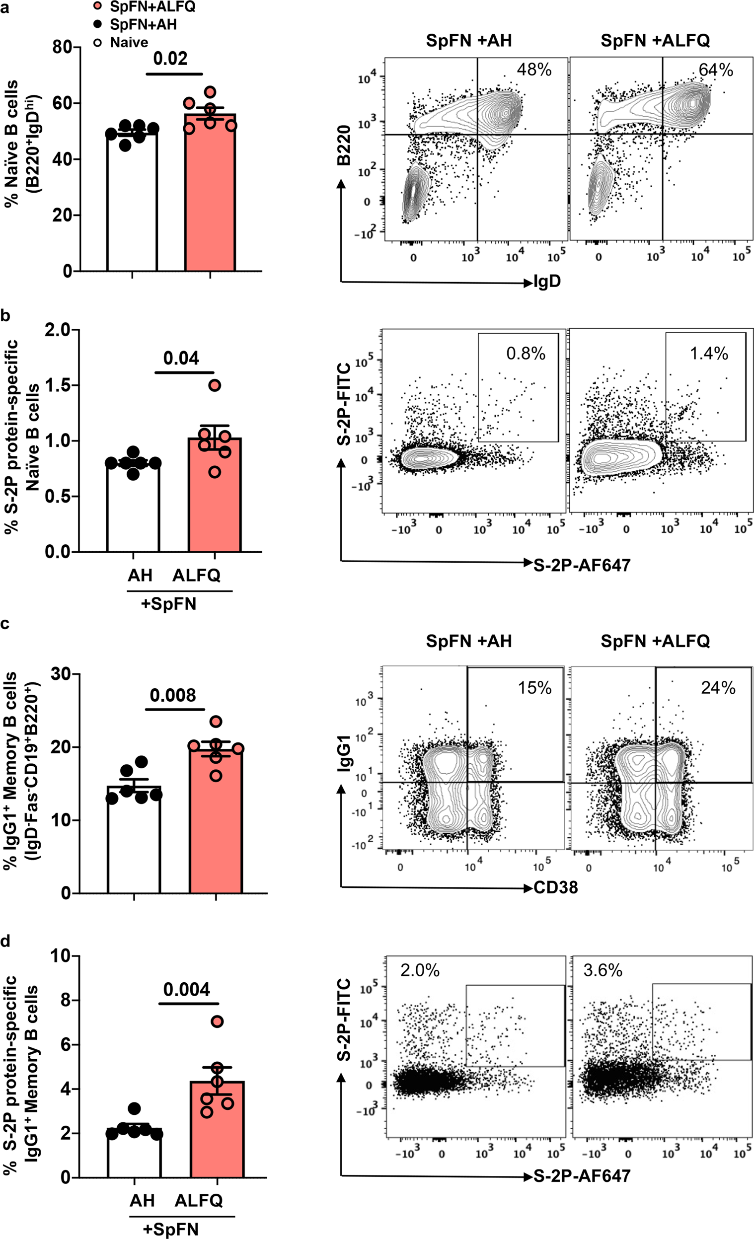 Fig. 4: SpFN + ALFQ vaccinated mice elicited higher frequencies of S-2P protein-specific naive B cells and S-2P protein-specific-IgG1+ memory B cells (MBCs) in the spleen following priming vaccinations.