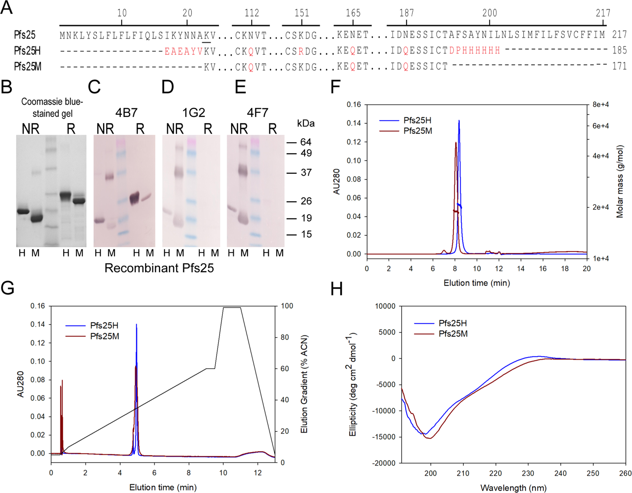 Structural and immunological differences in Plasmodium falciparum sexual stage transmission-blocking vaccines comprised of Pfs25-EPA nanoparticles npj Vaccines