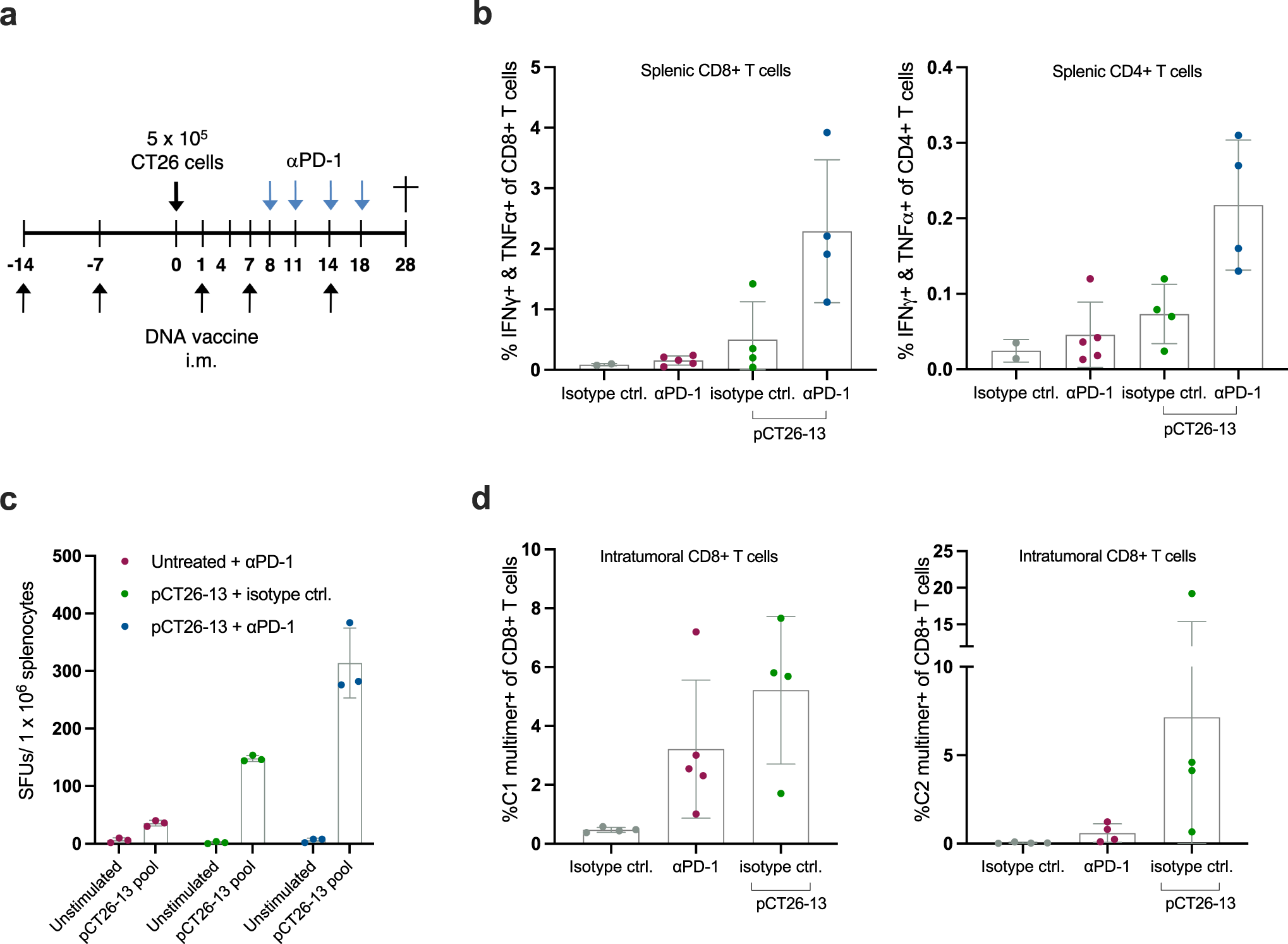 Fig. 5: Combination therapy induces favorable immunogenicity compared to monotherapies.