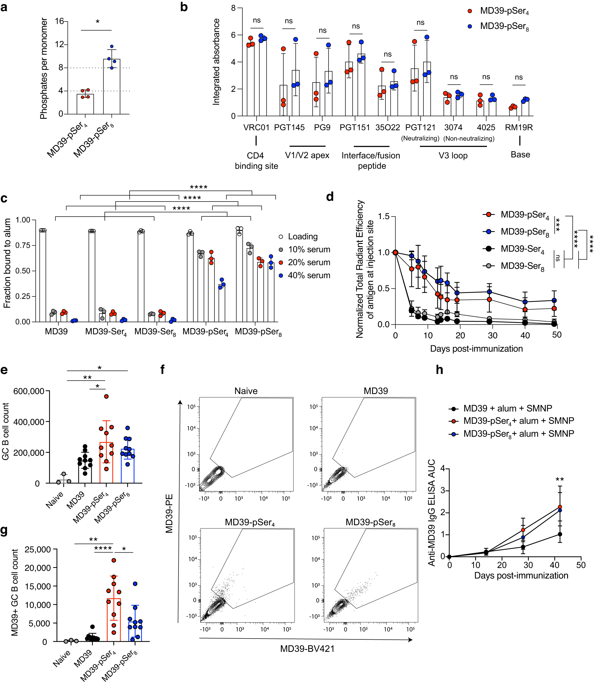 Fig. 2: Phosphoserine valency modulates immunogen binding to alum and humoral responses to immunization.
