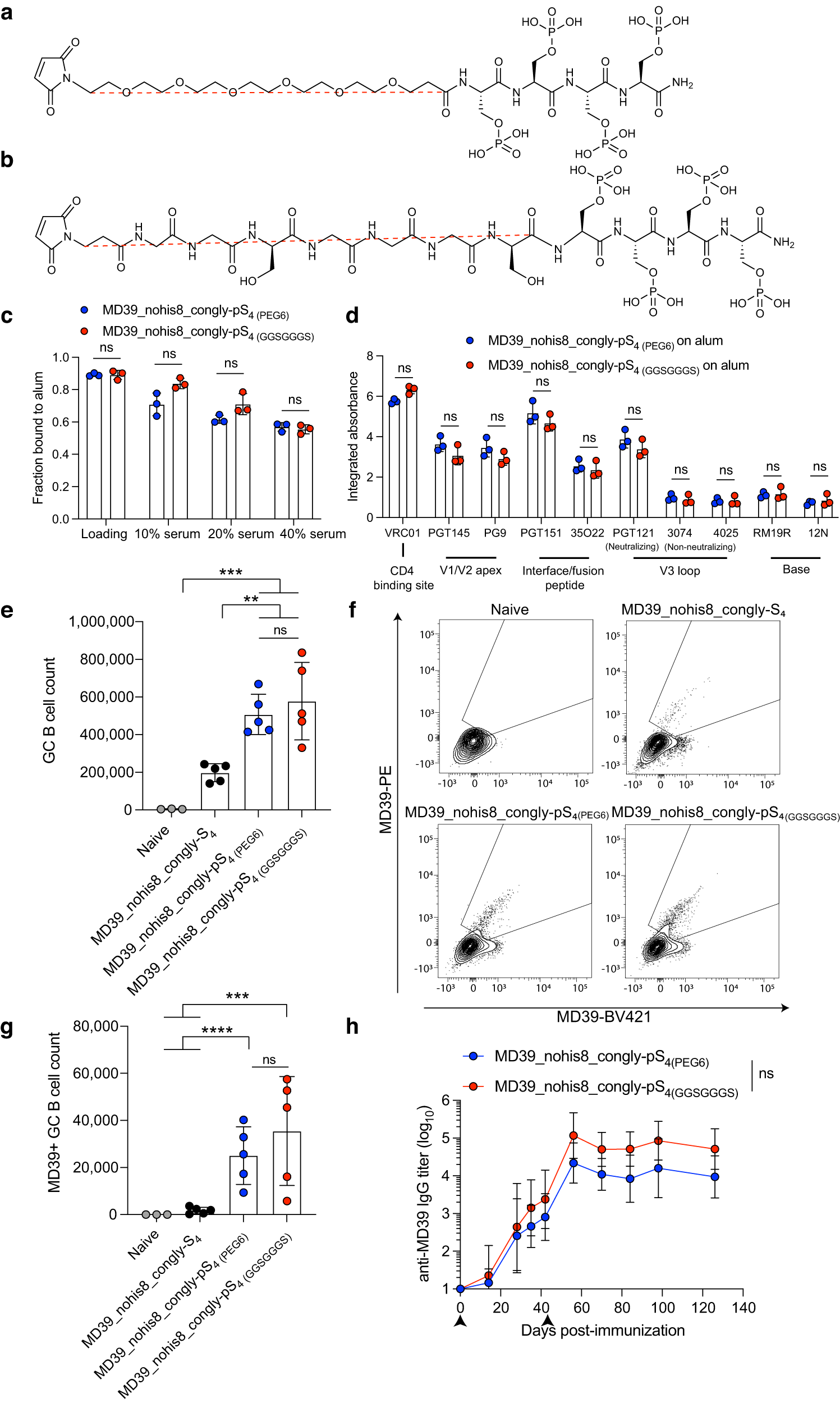 Fig. 6: Replacing the 6-unit PEG spacer with a flexible glycine/serine spacer does not significantly alter the physical properties of MD39_nohis8_congly-pSer.
