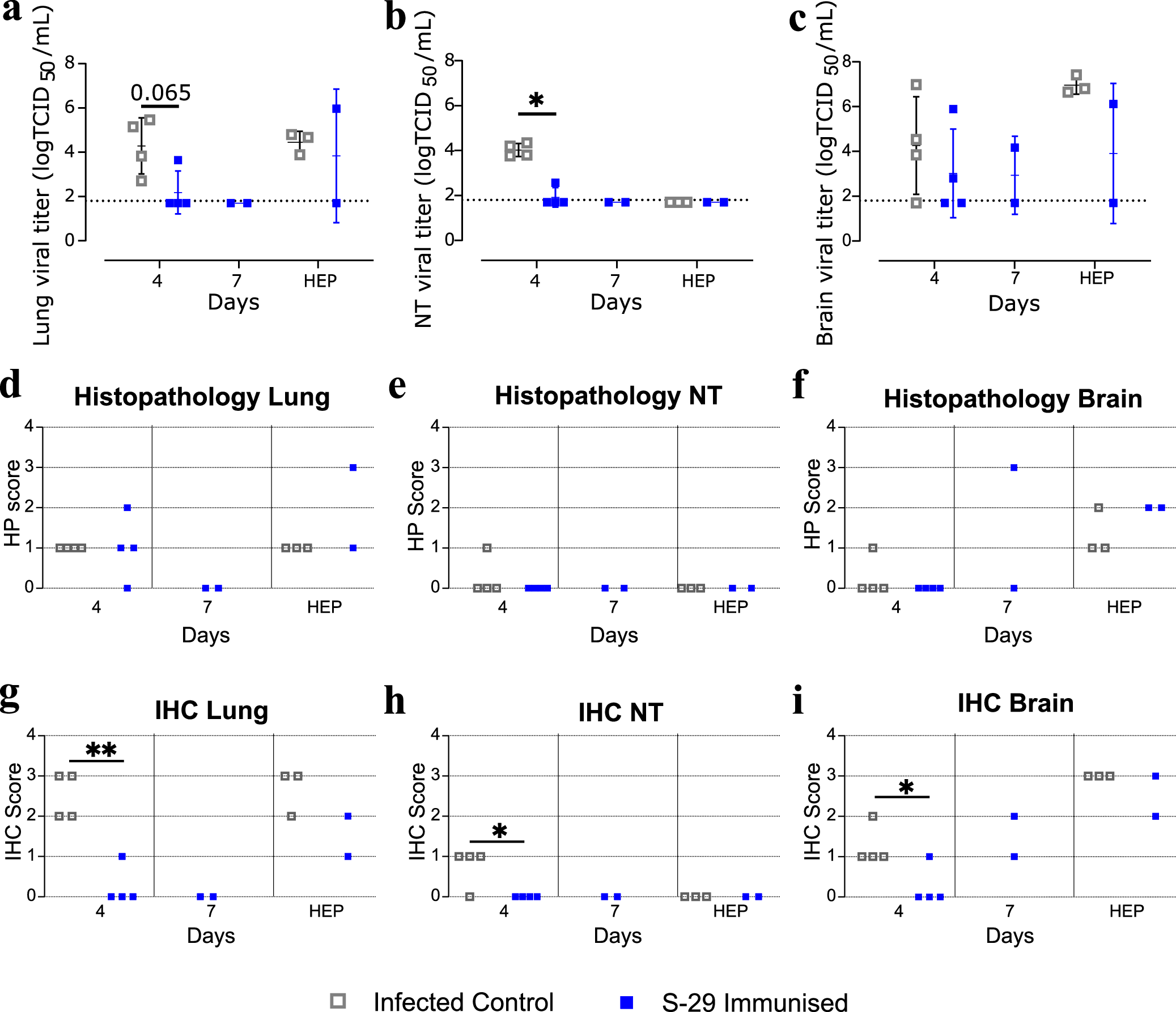 Fig. 3: SARS-CoV-2 titration, histopathology and immunohistochemistry to detect viral antigen of K18-hACE2 geriatric mice tissues.